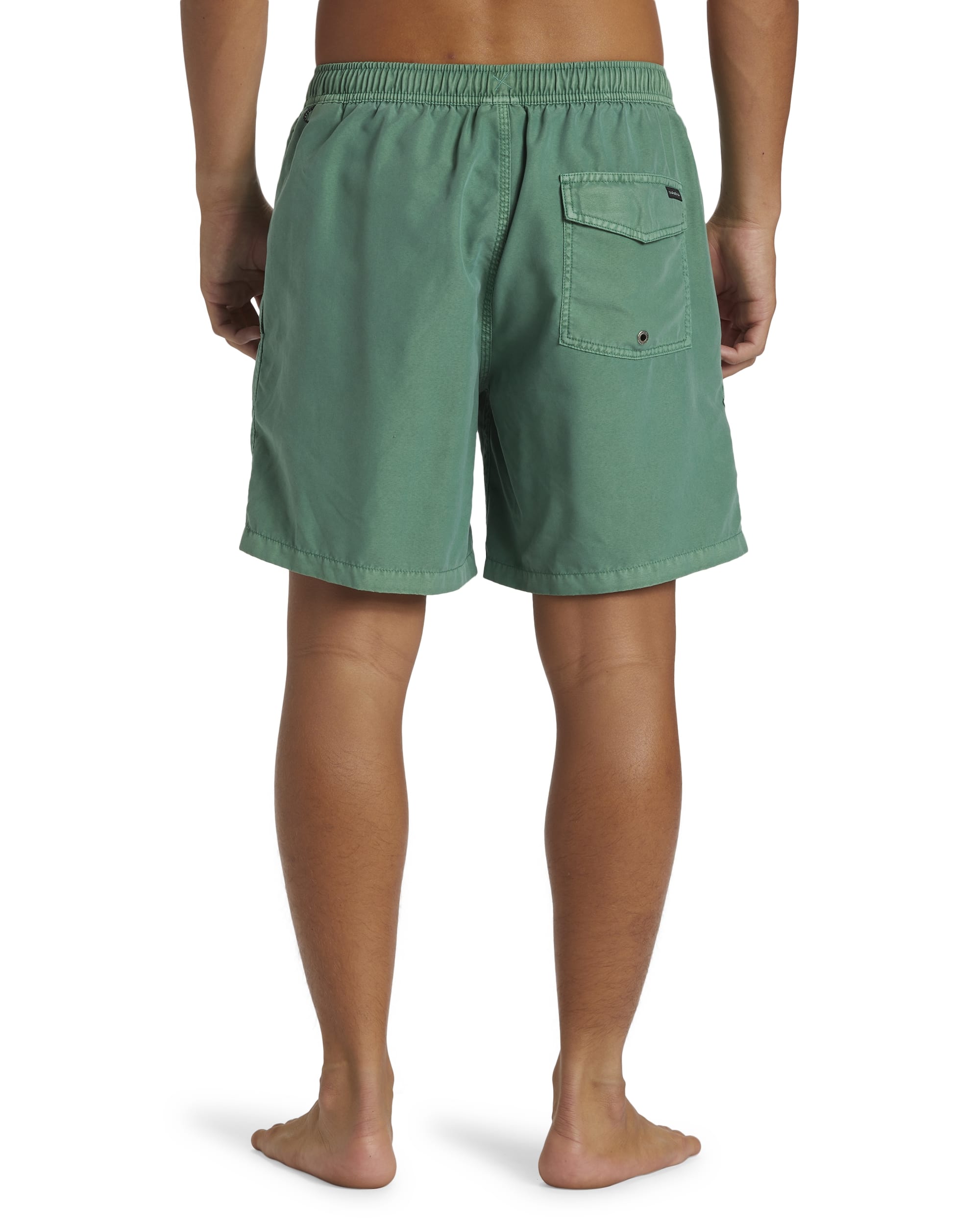 QUIKSILVERSurfwash 17nb Volleyshort