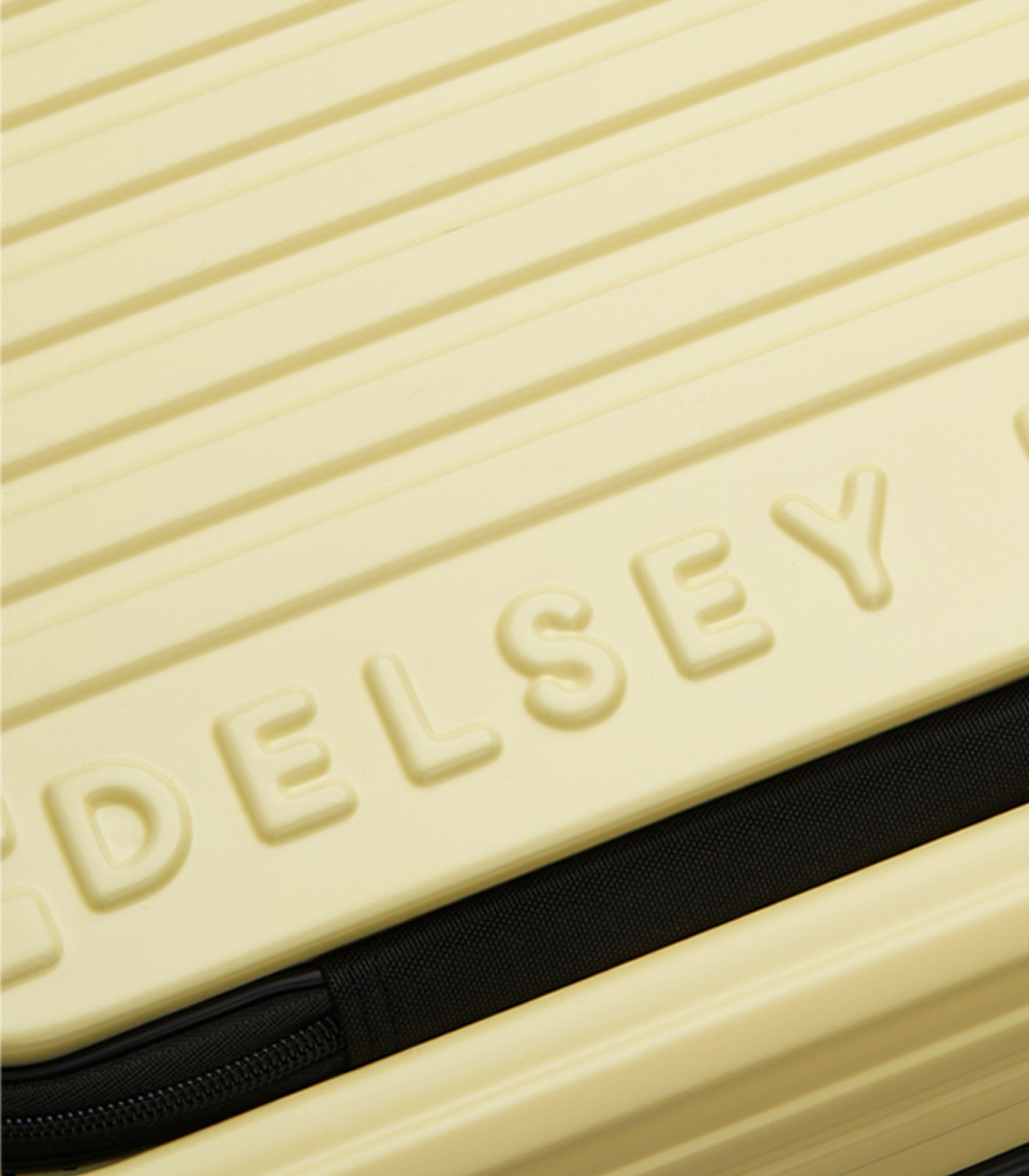 DELSEY PARISSecuritime Fo Hardcase Luggage