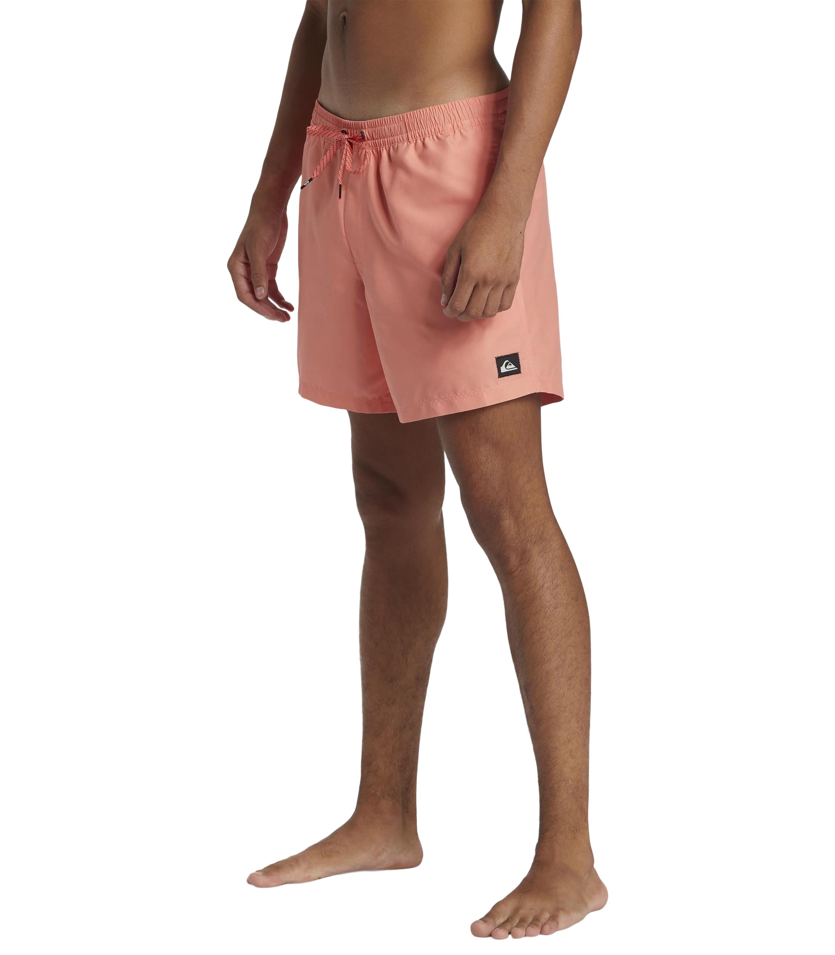 QUIKSILVEREveryday Solid Volley Shorts