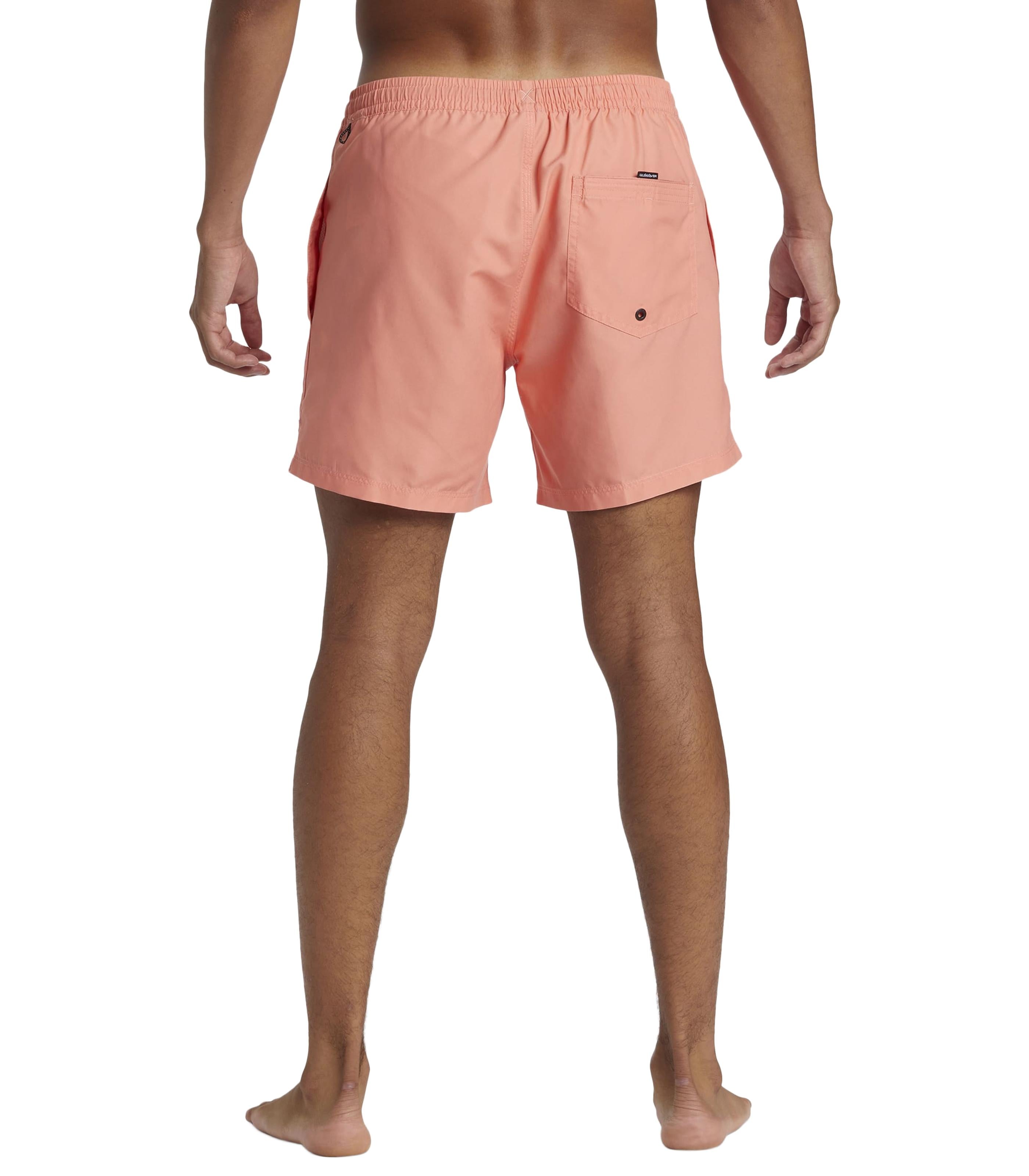 QUIKSILVEREveryday Solid Volley Shorts