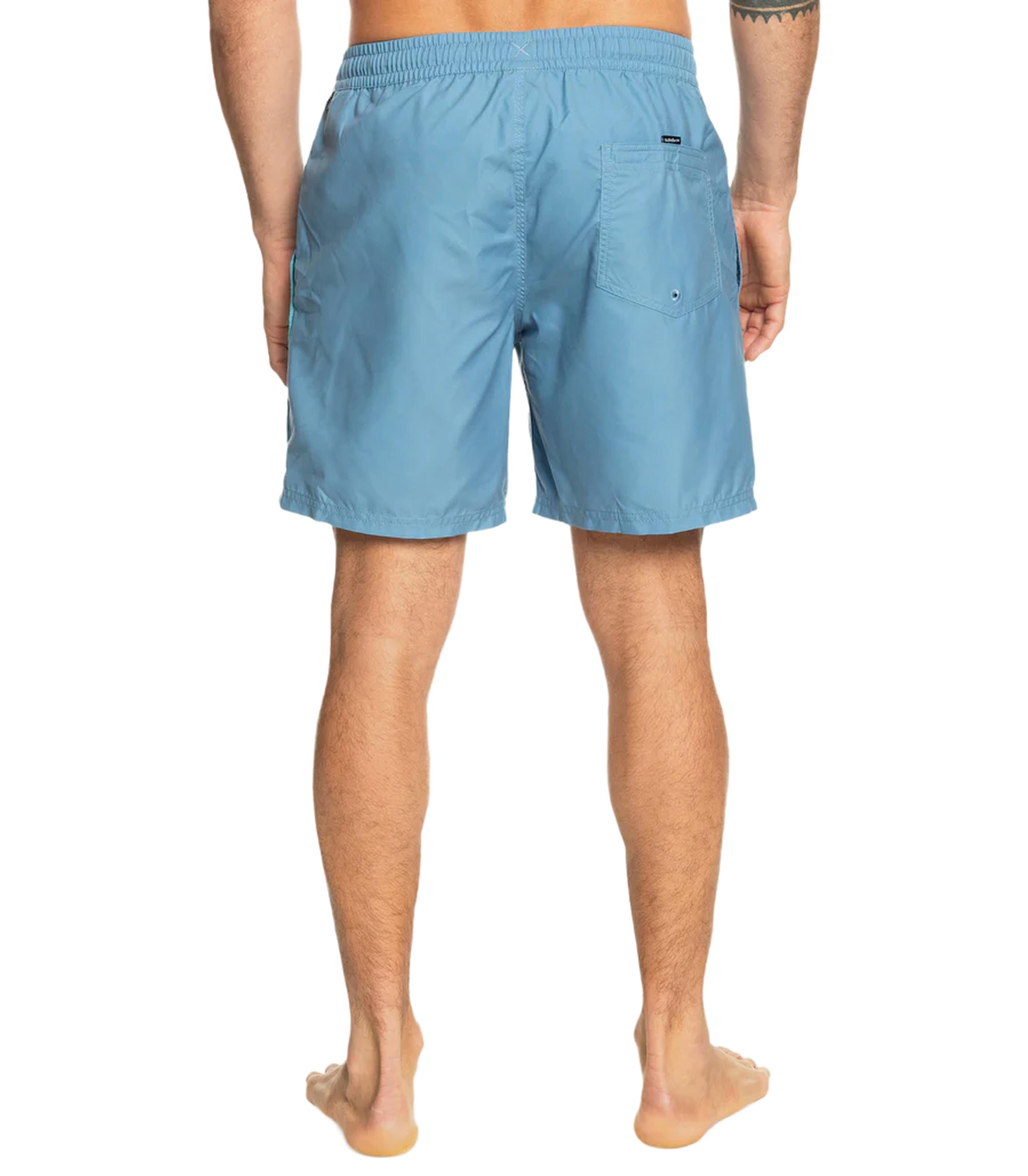 QUIKSILVEREveryday Vert Volley 2 17nb Shorts