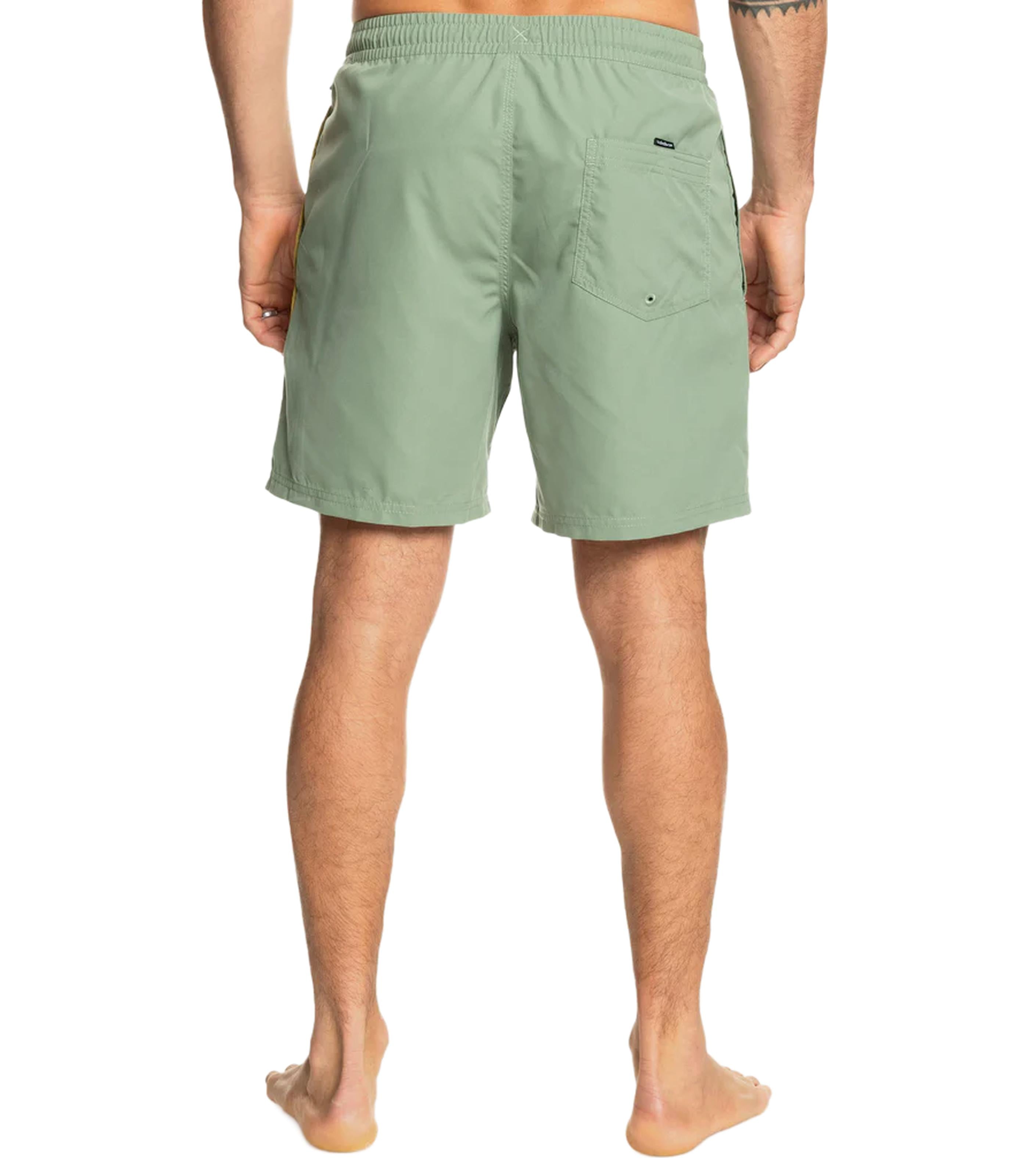 QUIKSILVEREveryday Vert Volley 2 17nb Shorts