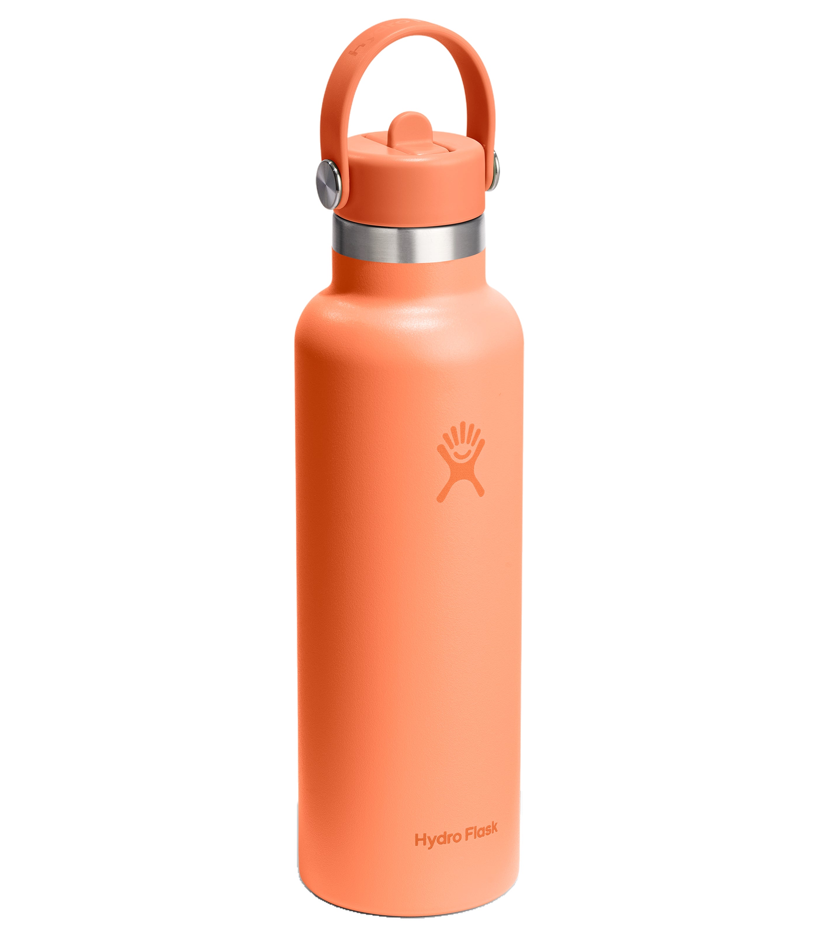 HYDRO FLASKStandard Flex Straw Cap Water Bottle