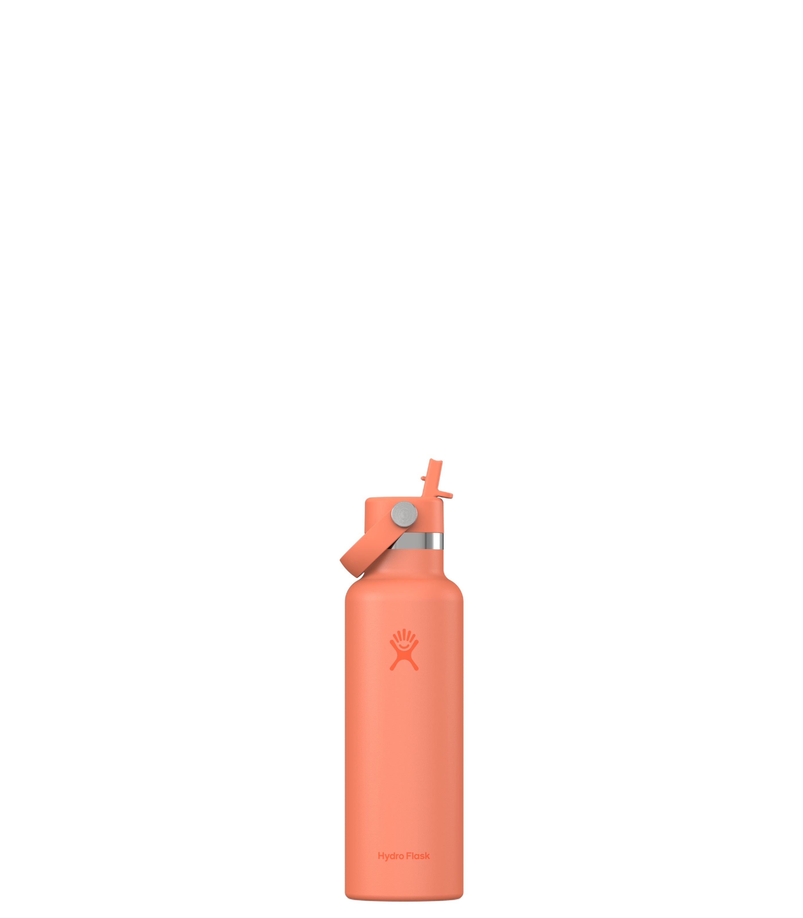 HYDRO FLASKStandard Flex Straw Cap Water Bottle
