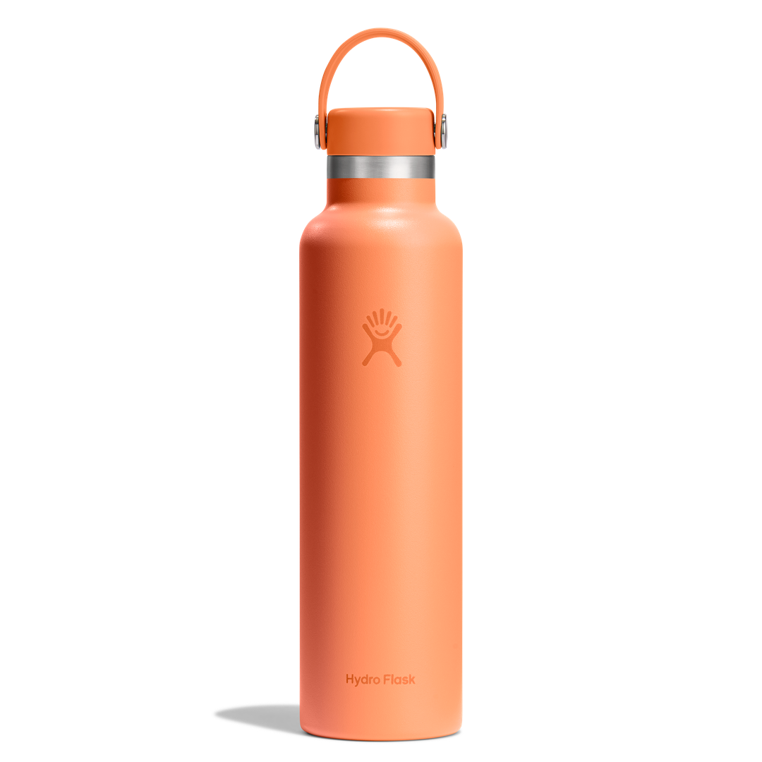 HYDRO FLASKStandard Flex Cap Water Bottle