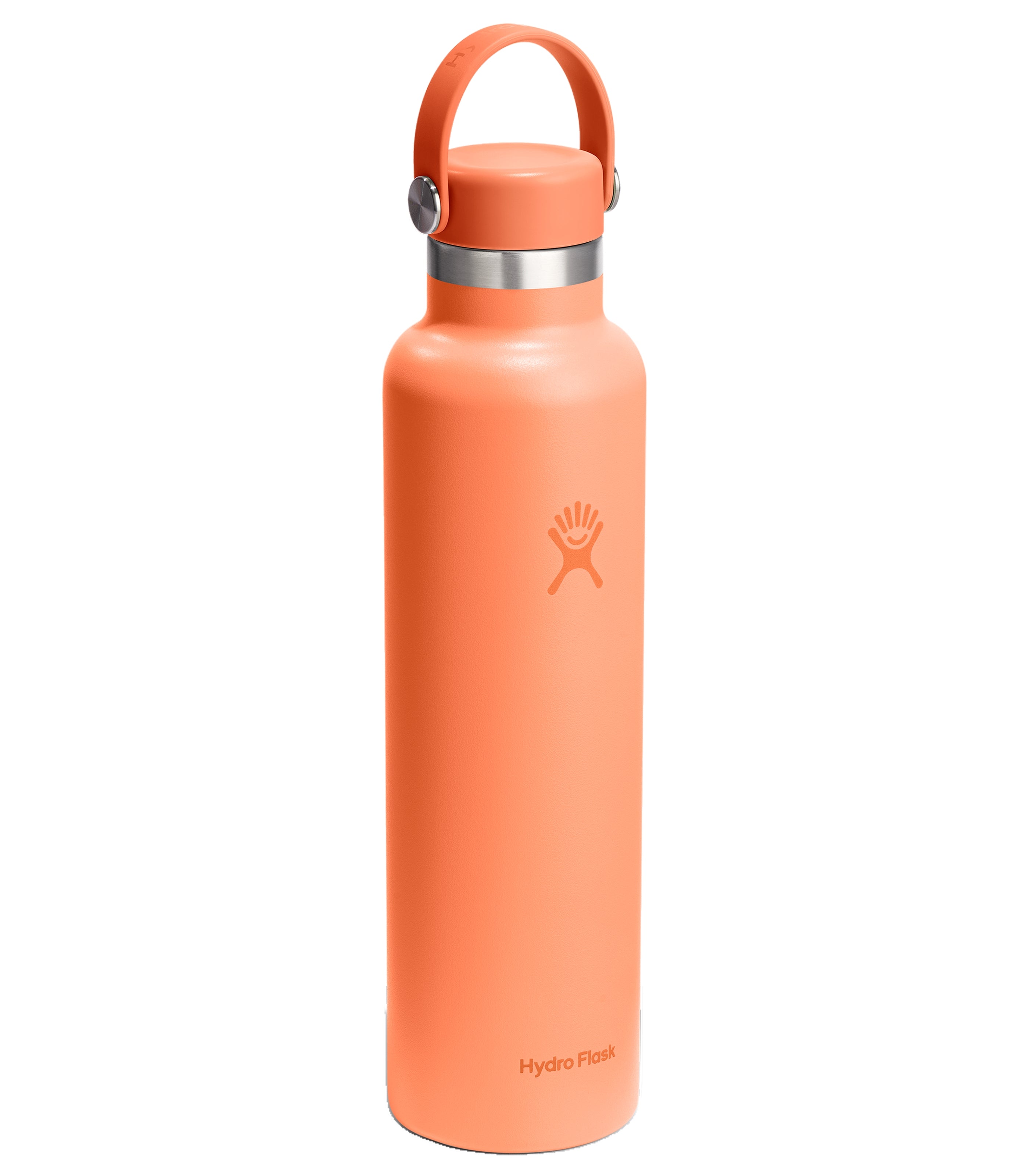 HYDRO FLASKStandard Flex Cap Water Bottle