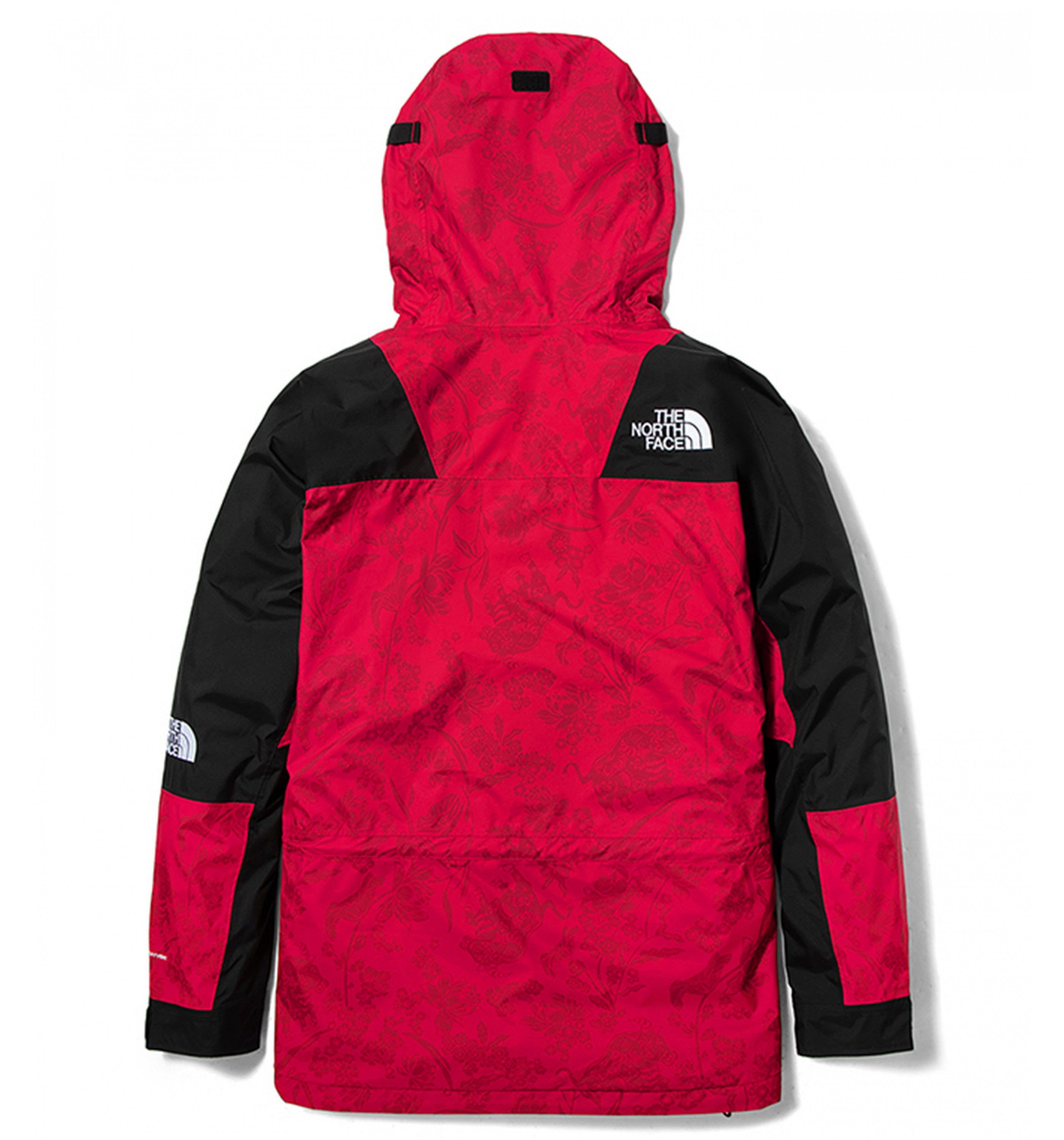 THE NORTH FACEMntn Lt Cny Dryvnt Mens