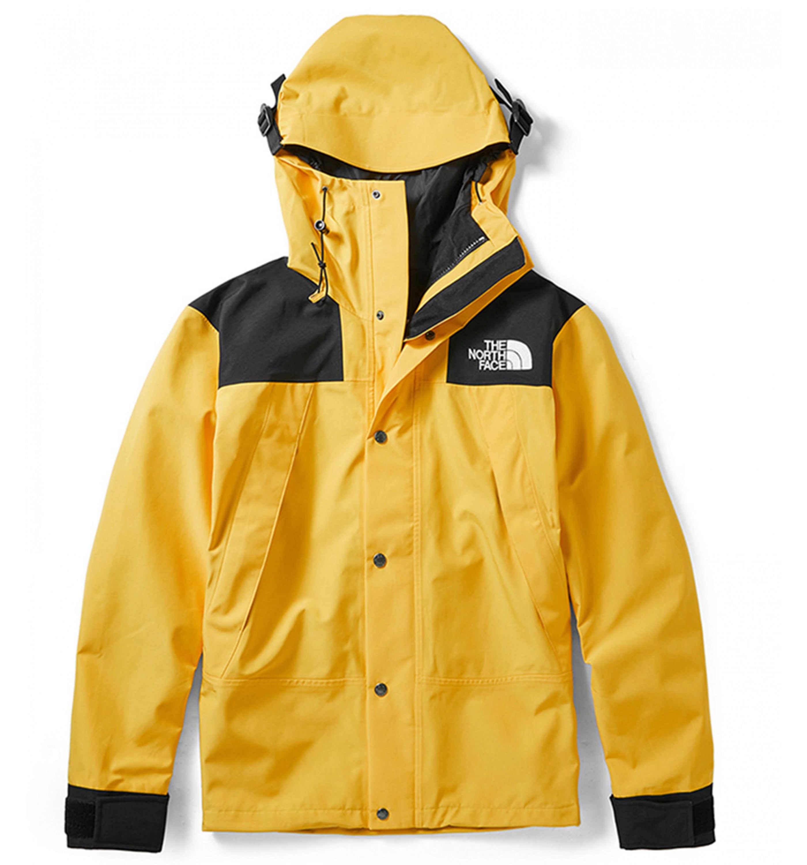 THE NORTH FACEIcn 90 Mtn Jkt Ftl Mens