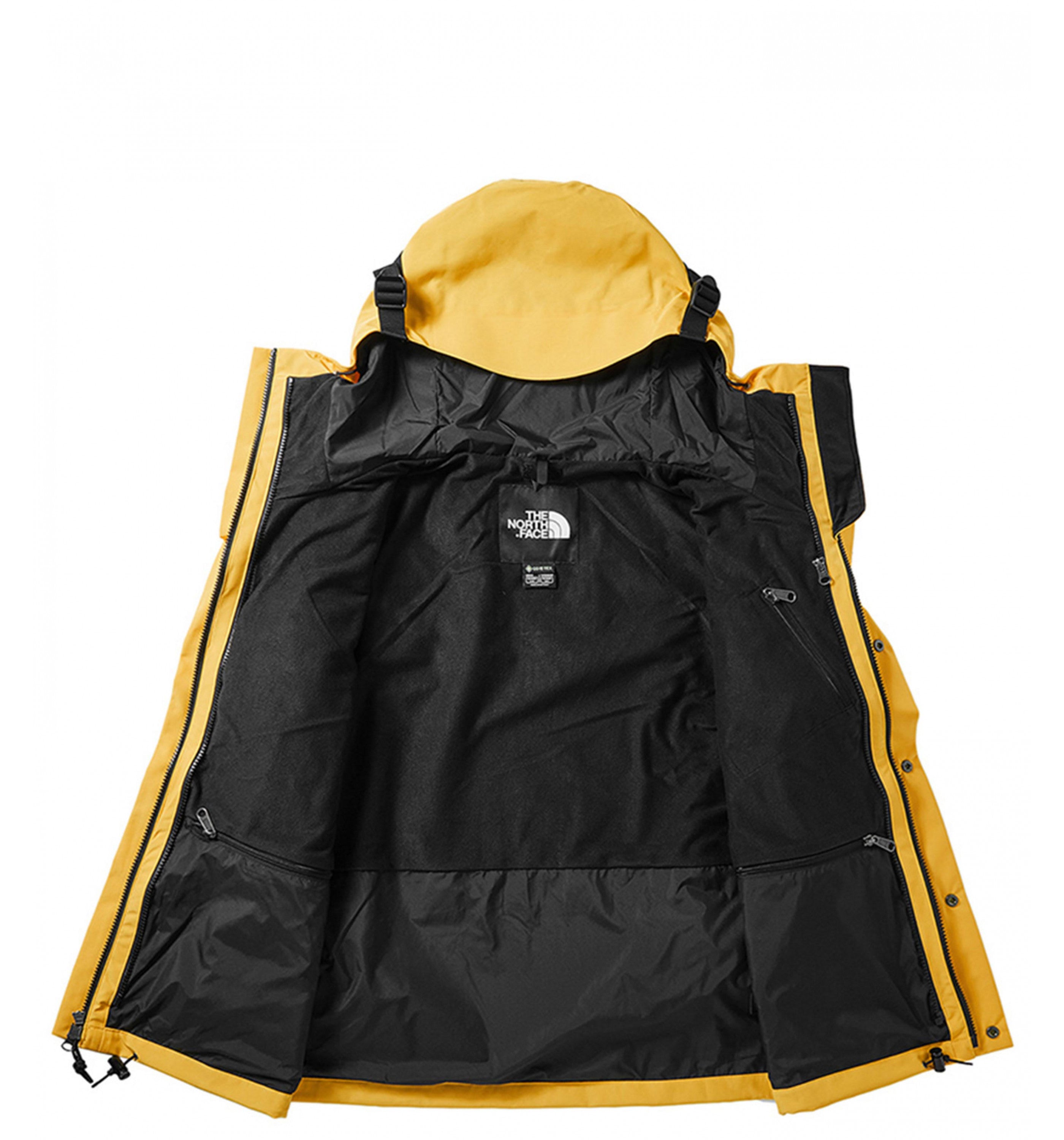 THE NORTH FACEIcn 90 Mtn Jkt Ftl Mens