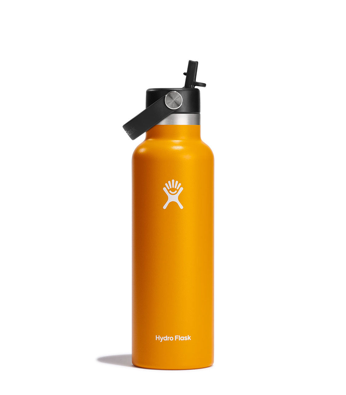 HYDRO FLASK21 Oz Standard With Flex Straw Cap Starfish