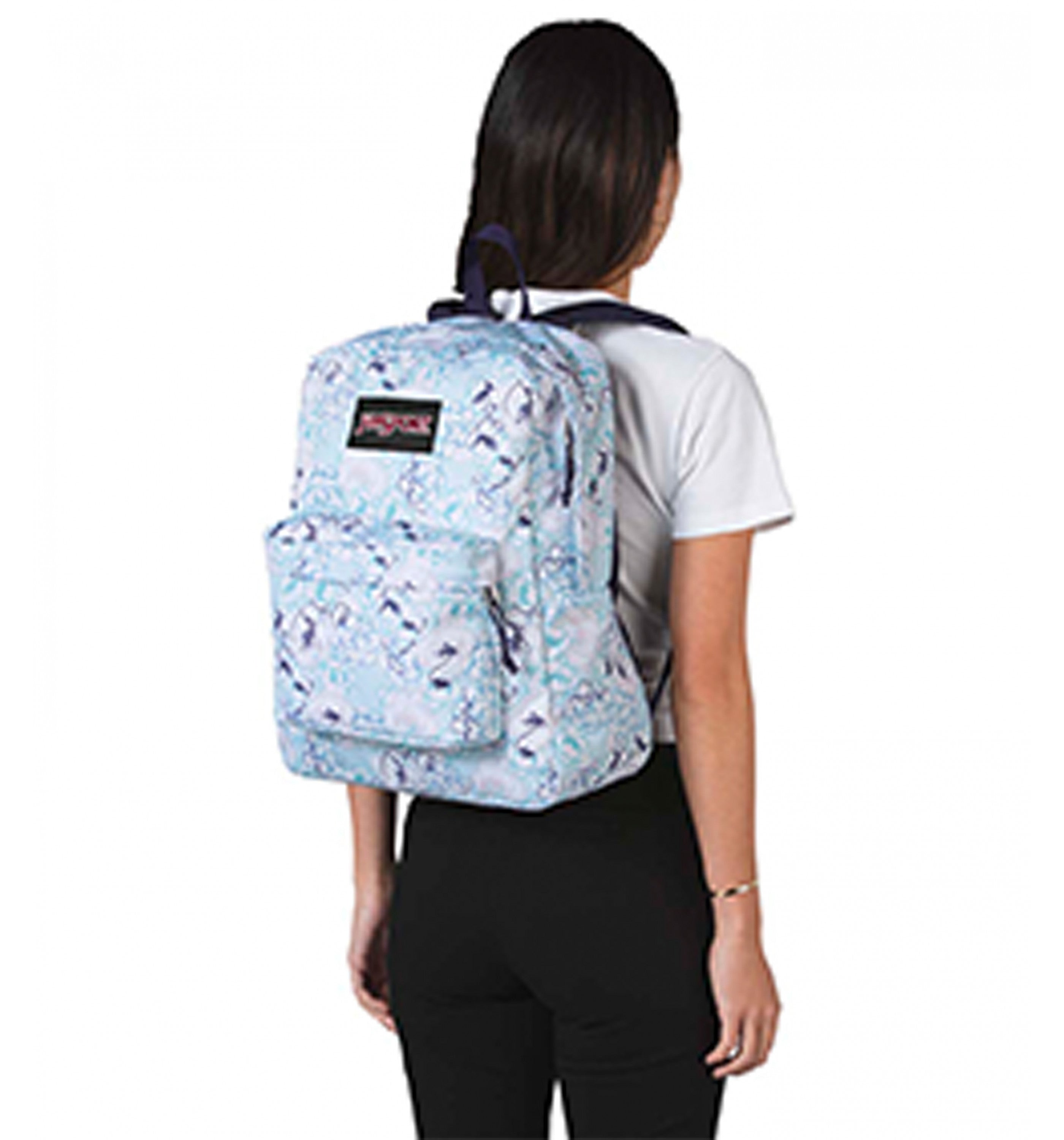 JANSPORTBlack Label Superbreak Backpack