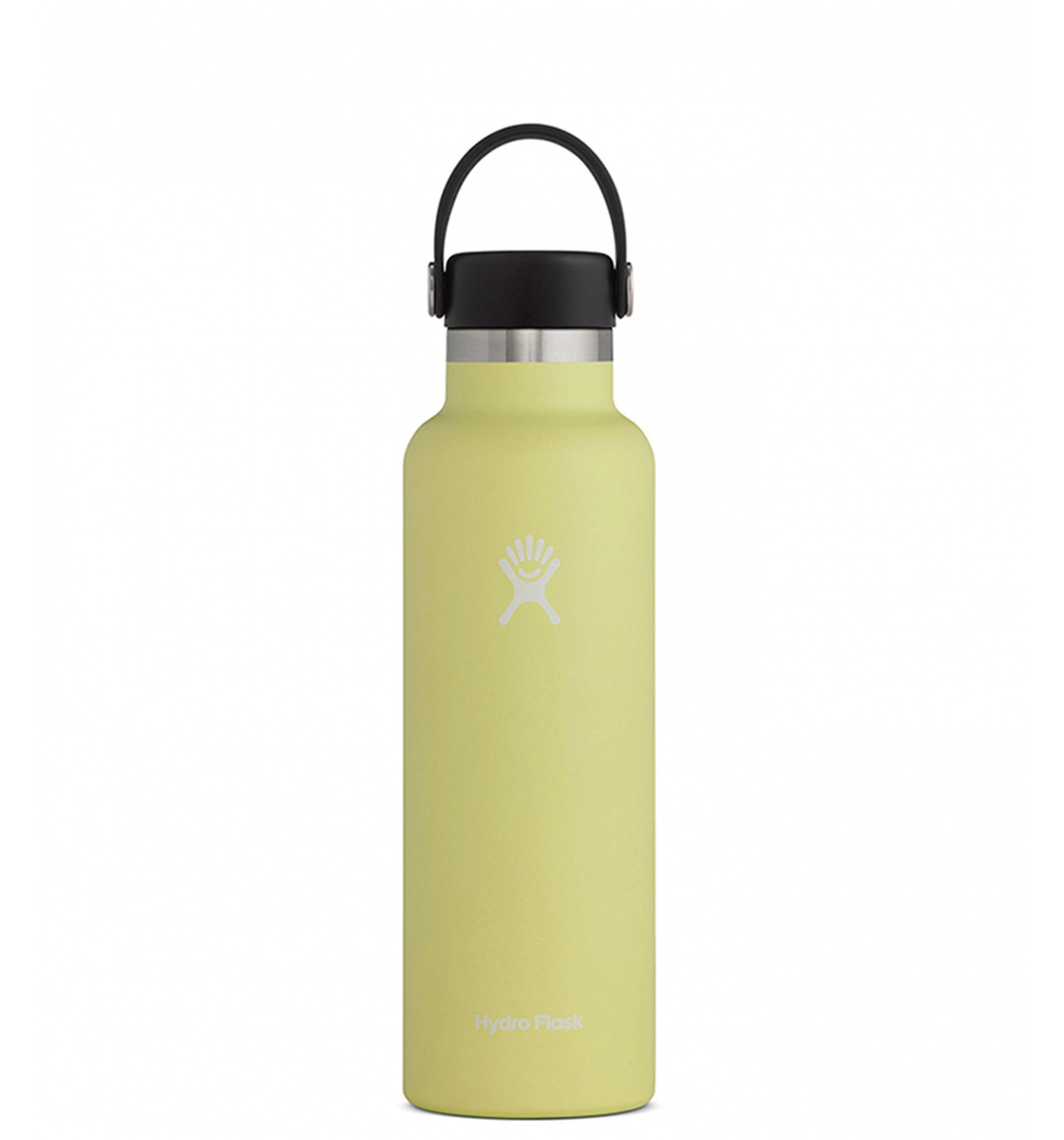 HYDRO FLASKStandard Mouth 21 Oz