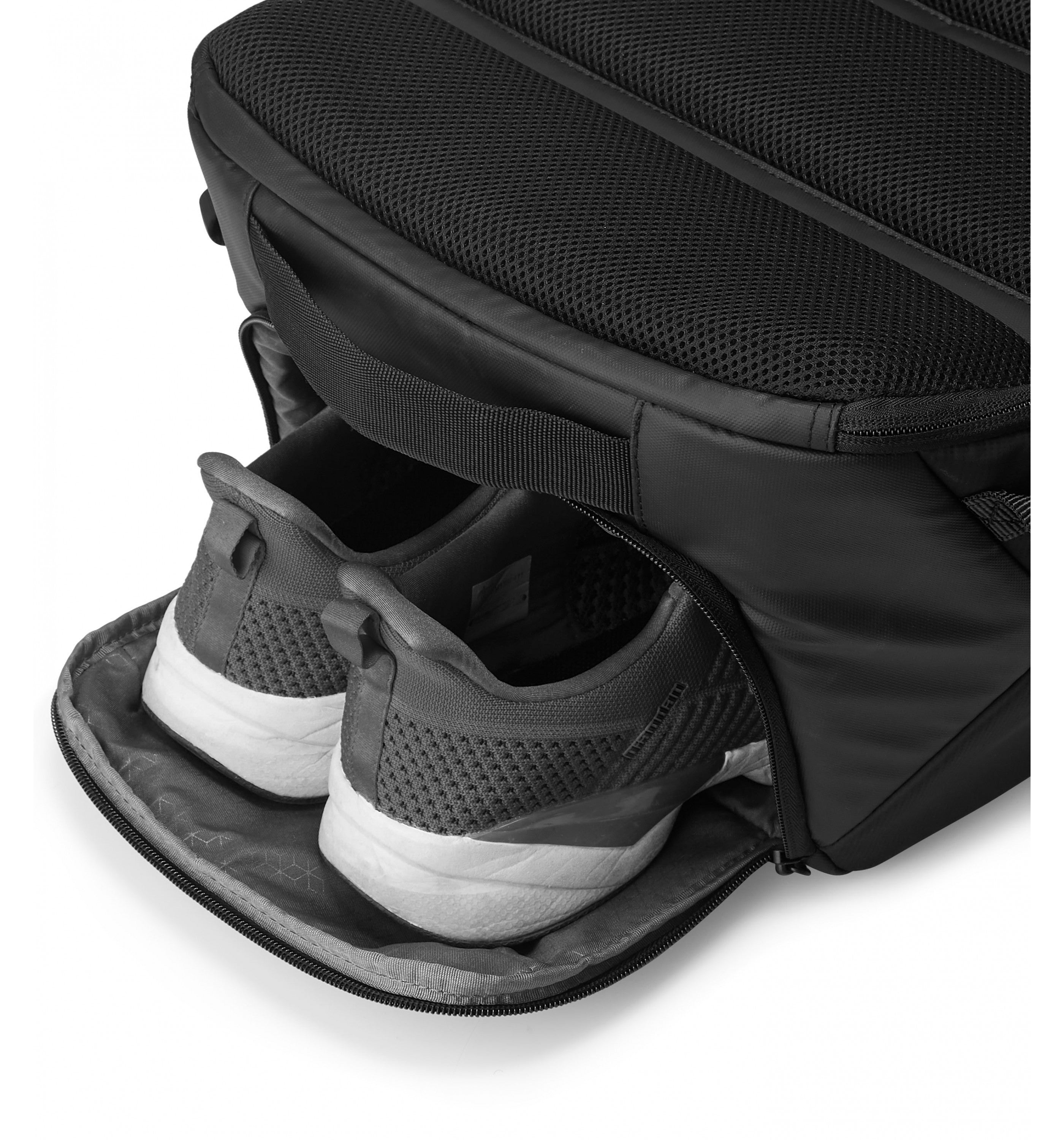 HEDGRENTurtle Backpack