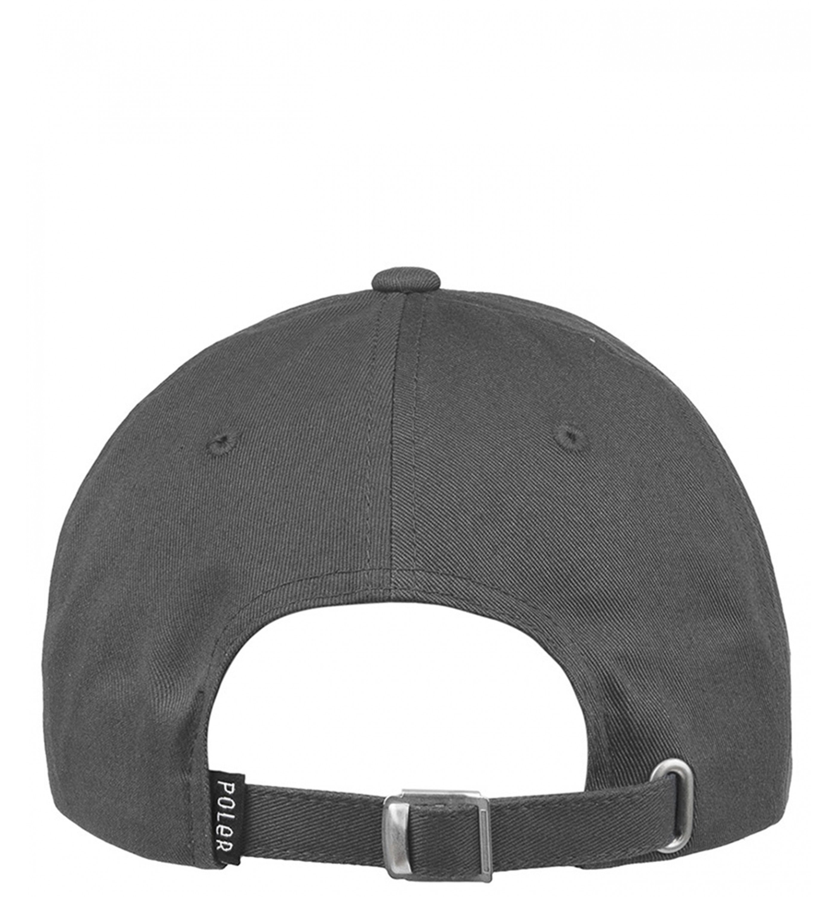 POLERSummit Dad Hat Hat