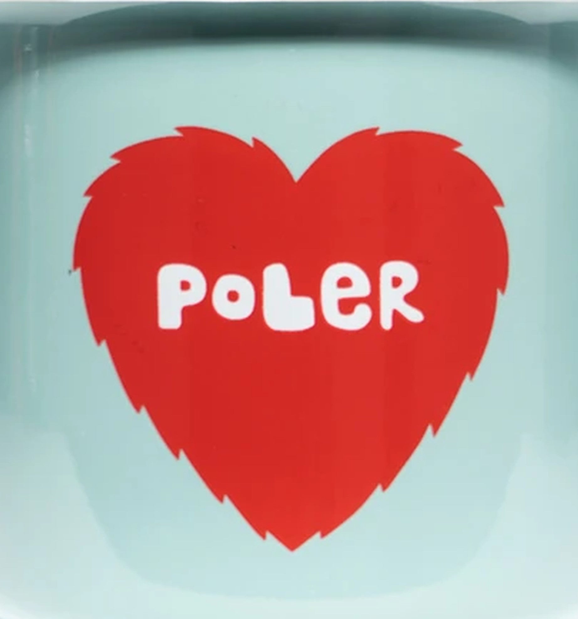 POLERPoler Camp Mug