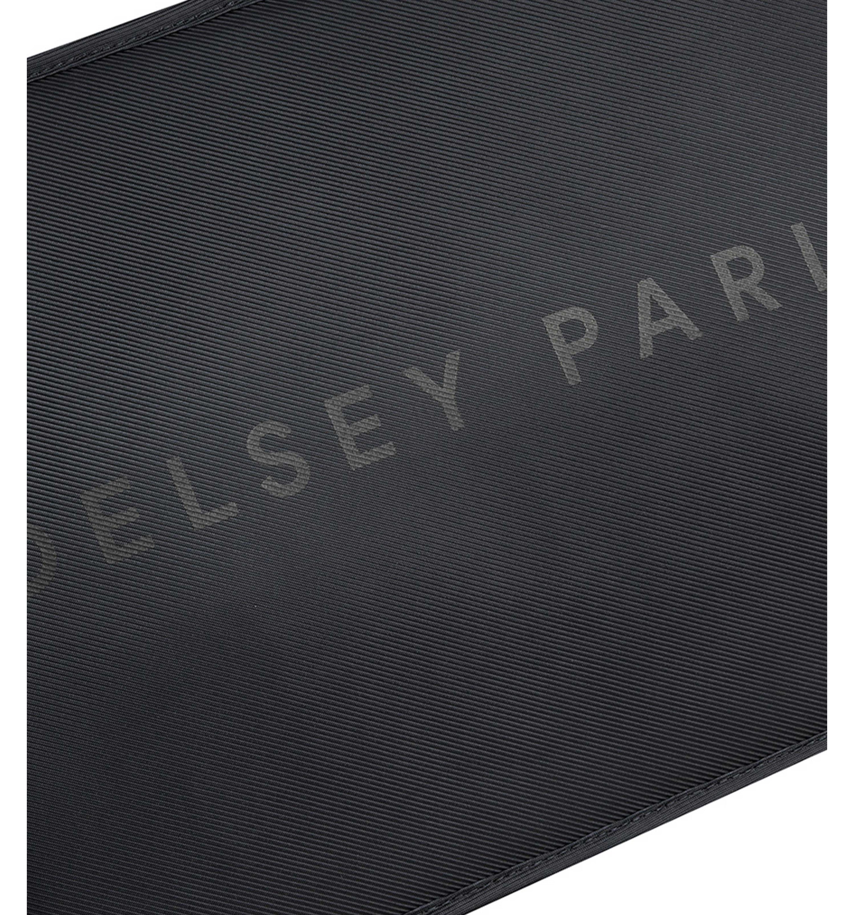 DELSEY PARISARCHE 2-CPT 14" BACKPACK BLACK
