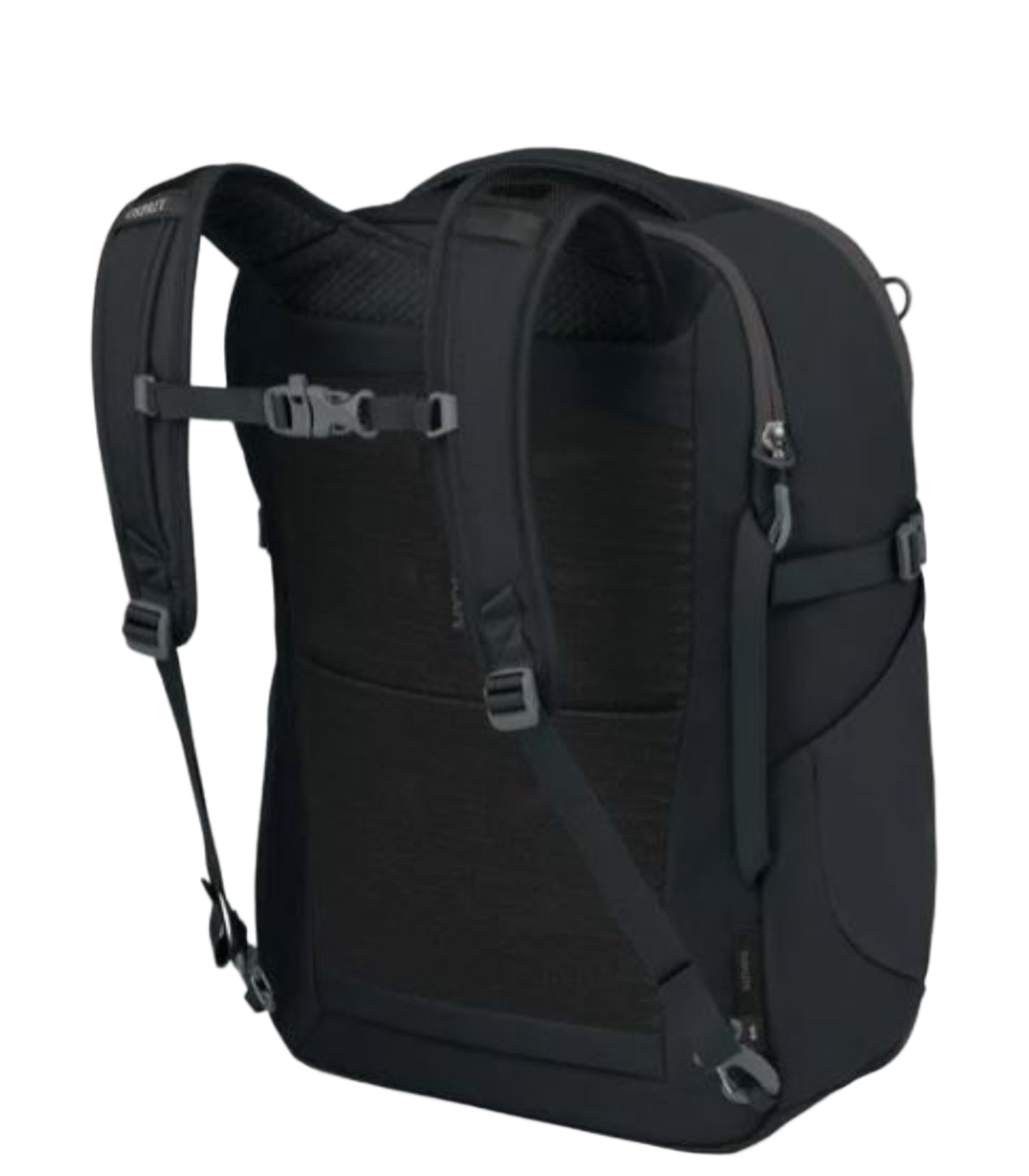 OSPREYDaylite Travel Pack 35 Backpack