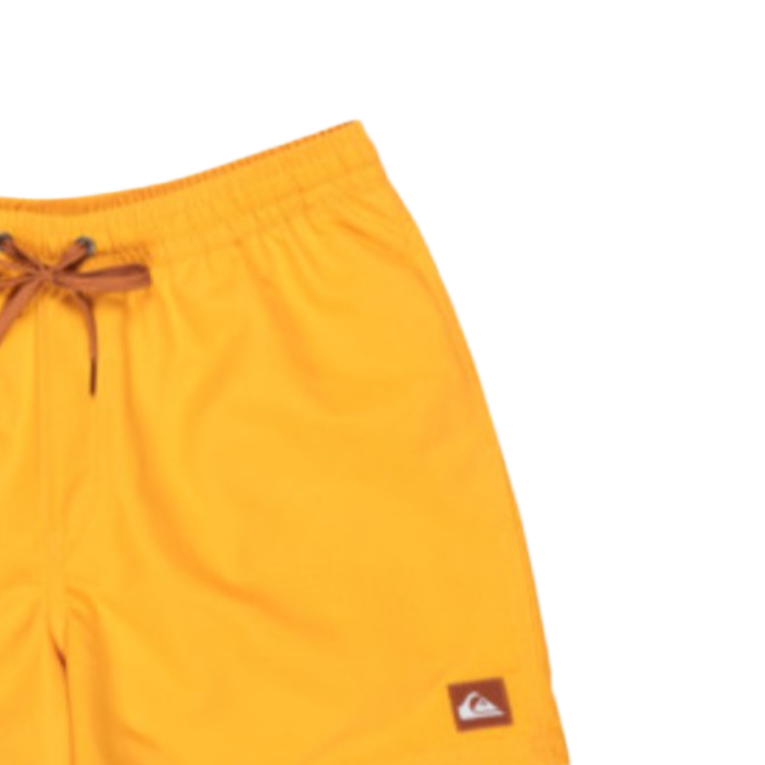 QUIKSILVEREvrydy Solid Volley 15 Id Boardshorts/ Swim Shorts