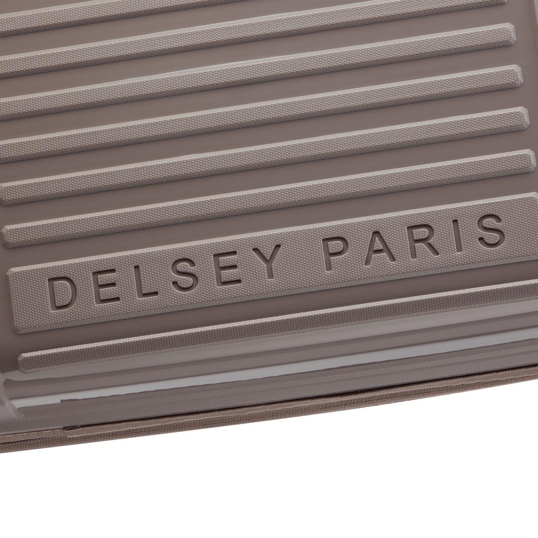 DelseyLutece Carry-On