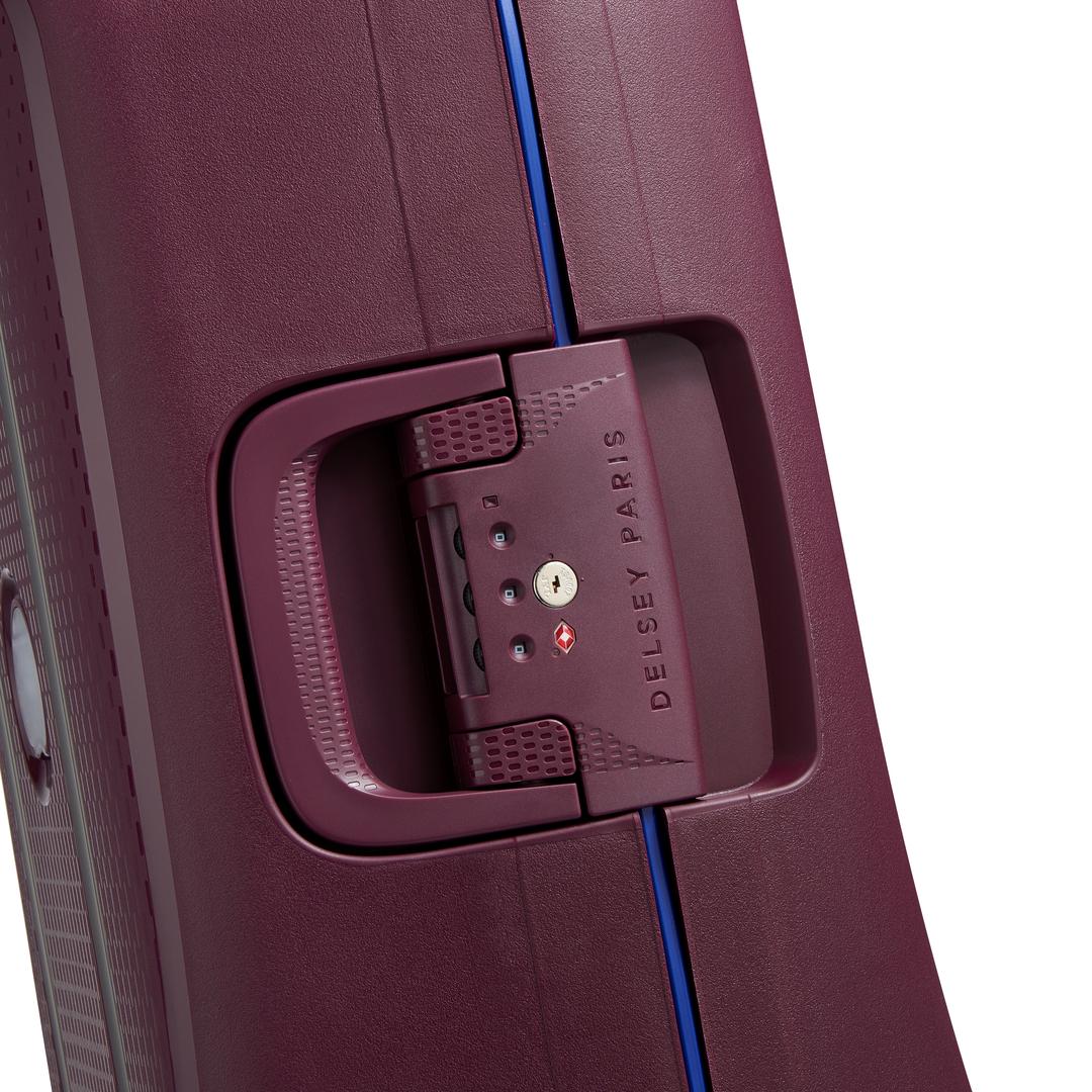 DelseyMoncey Mr Carry-On