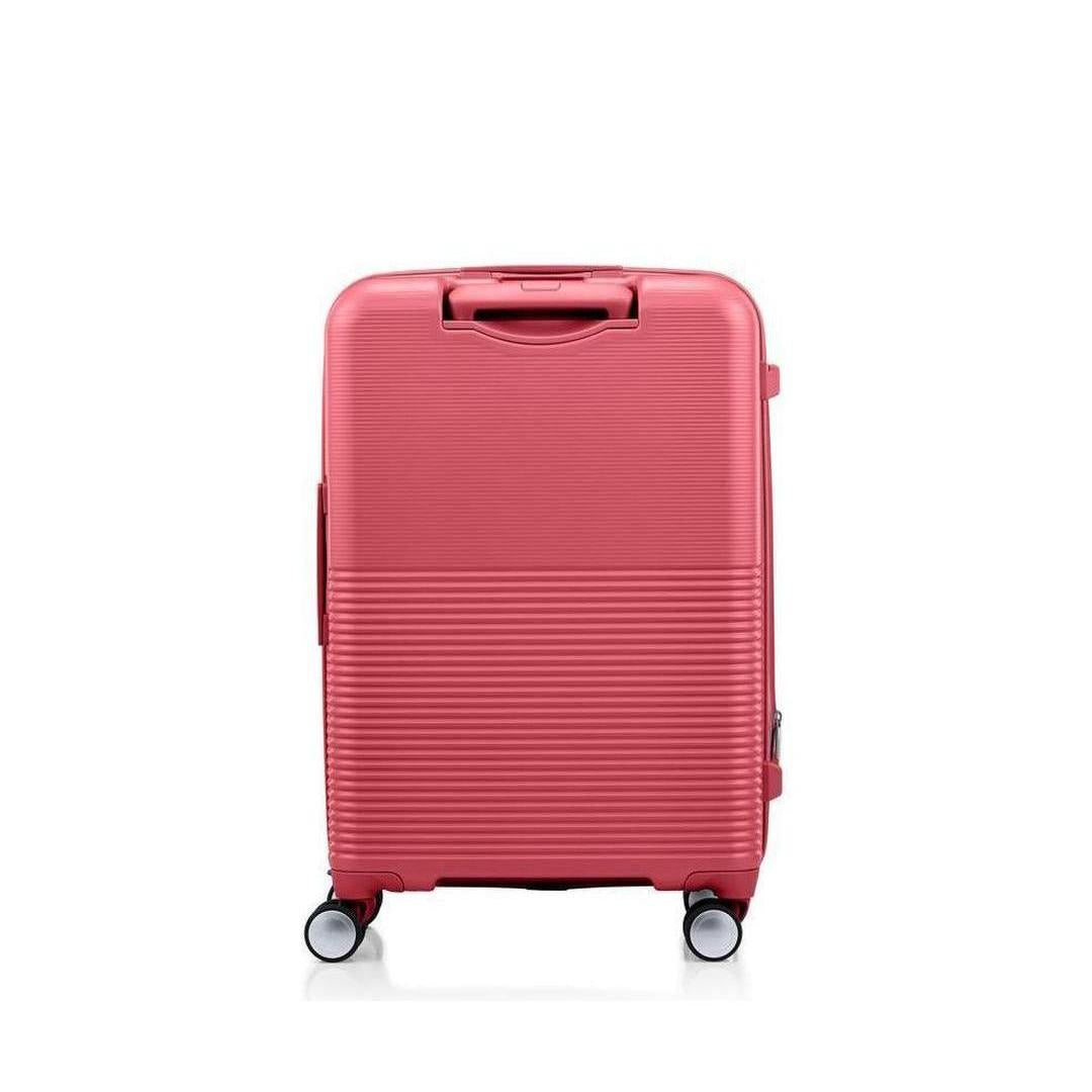 AMERICAN TOURISTERCubecraft Medium