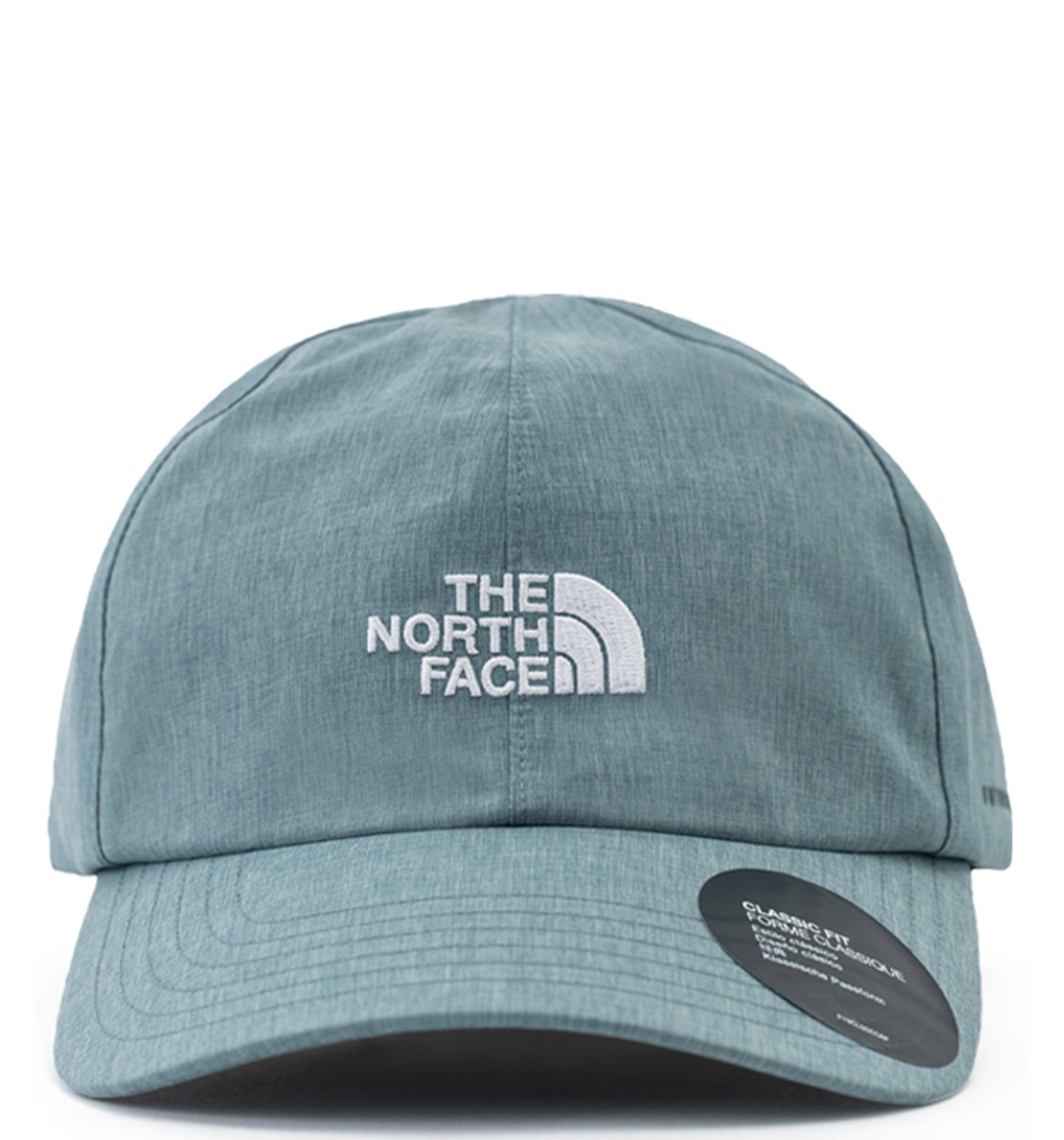 THE NORTH FACELogo Fl Hat