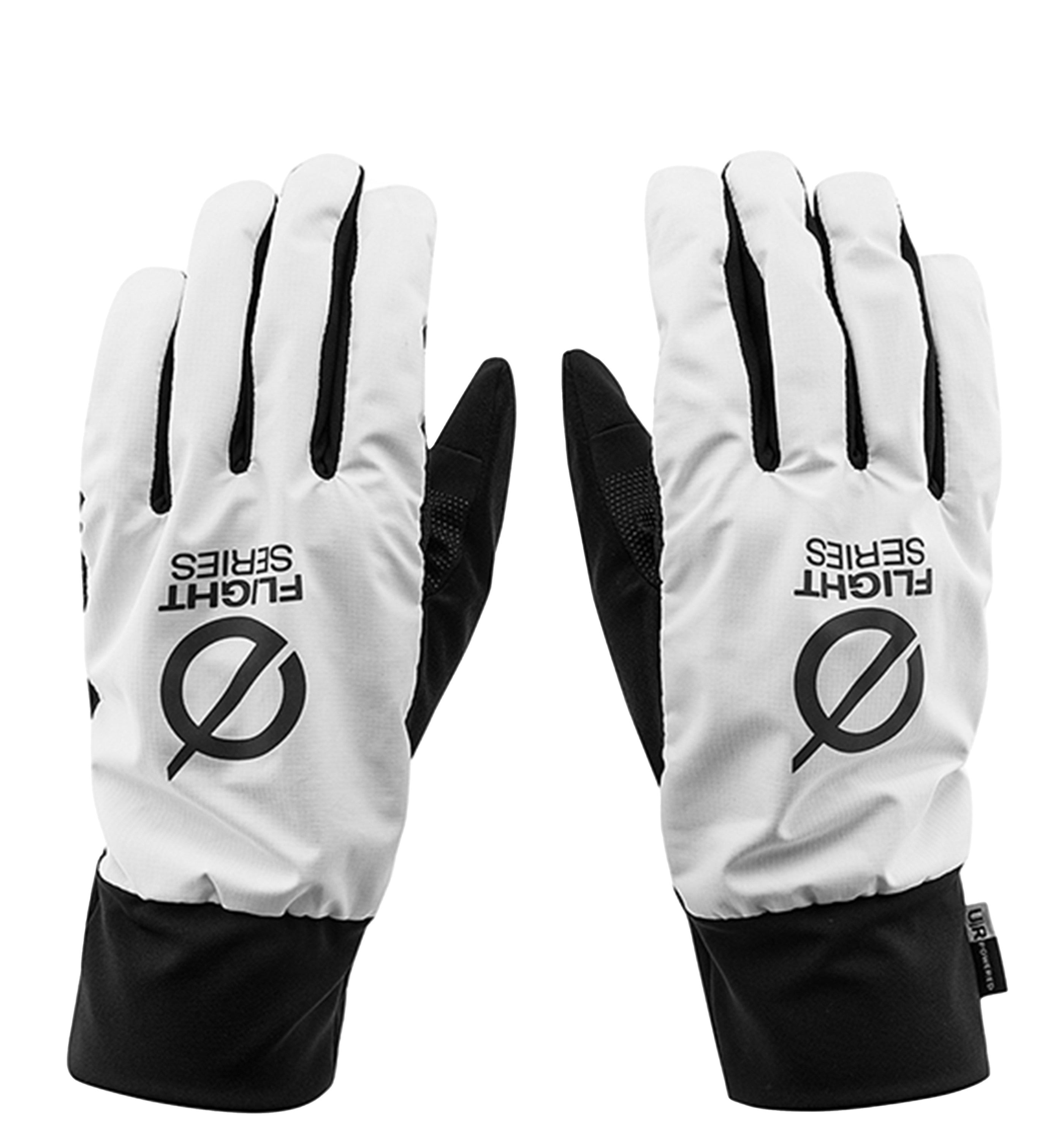 THE NORTH FACEFlight Glove