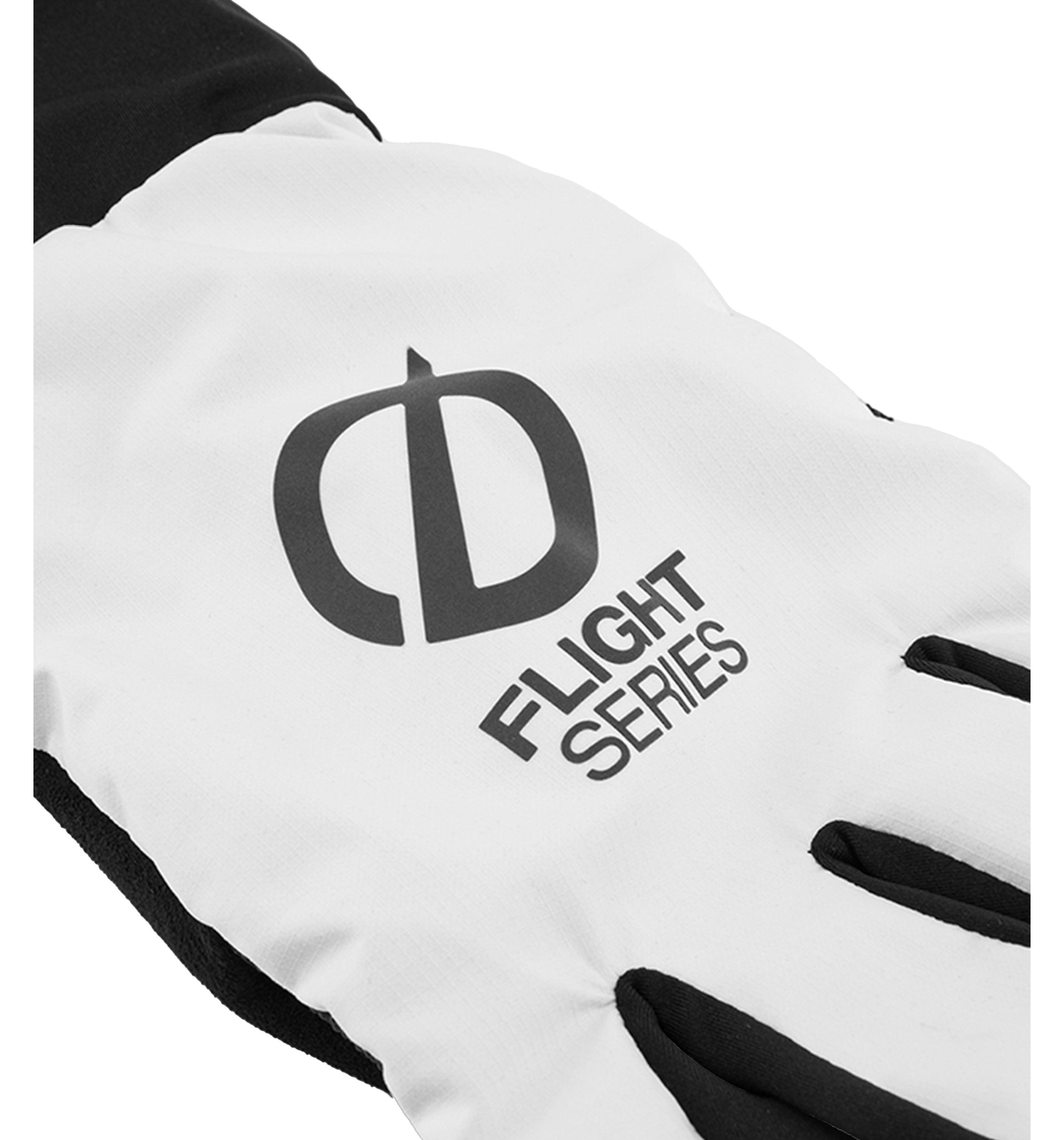 THE NORTH FACEFlight Glove