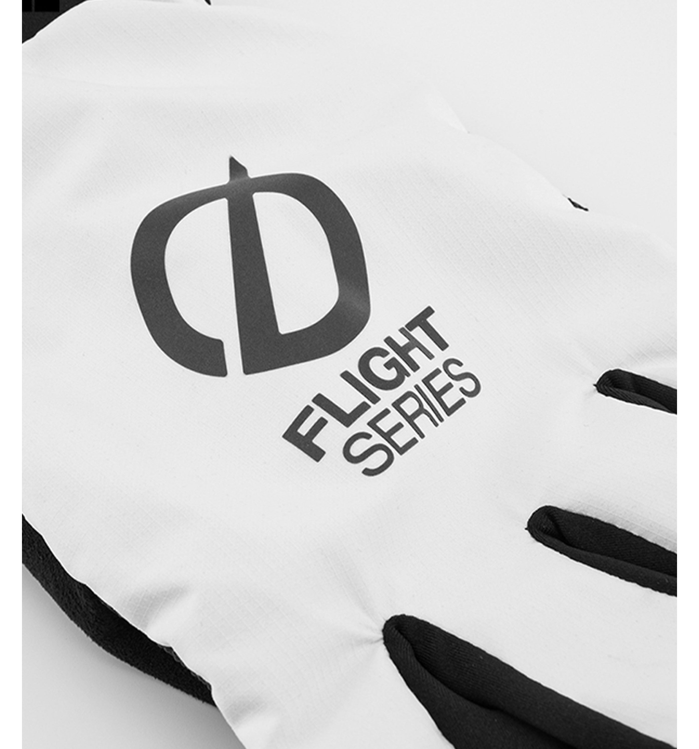 THE NORTH FACEFlight Glove