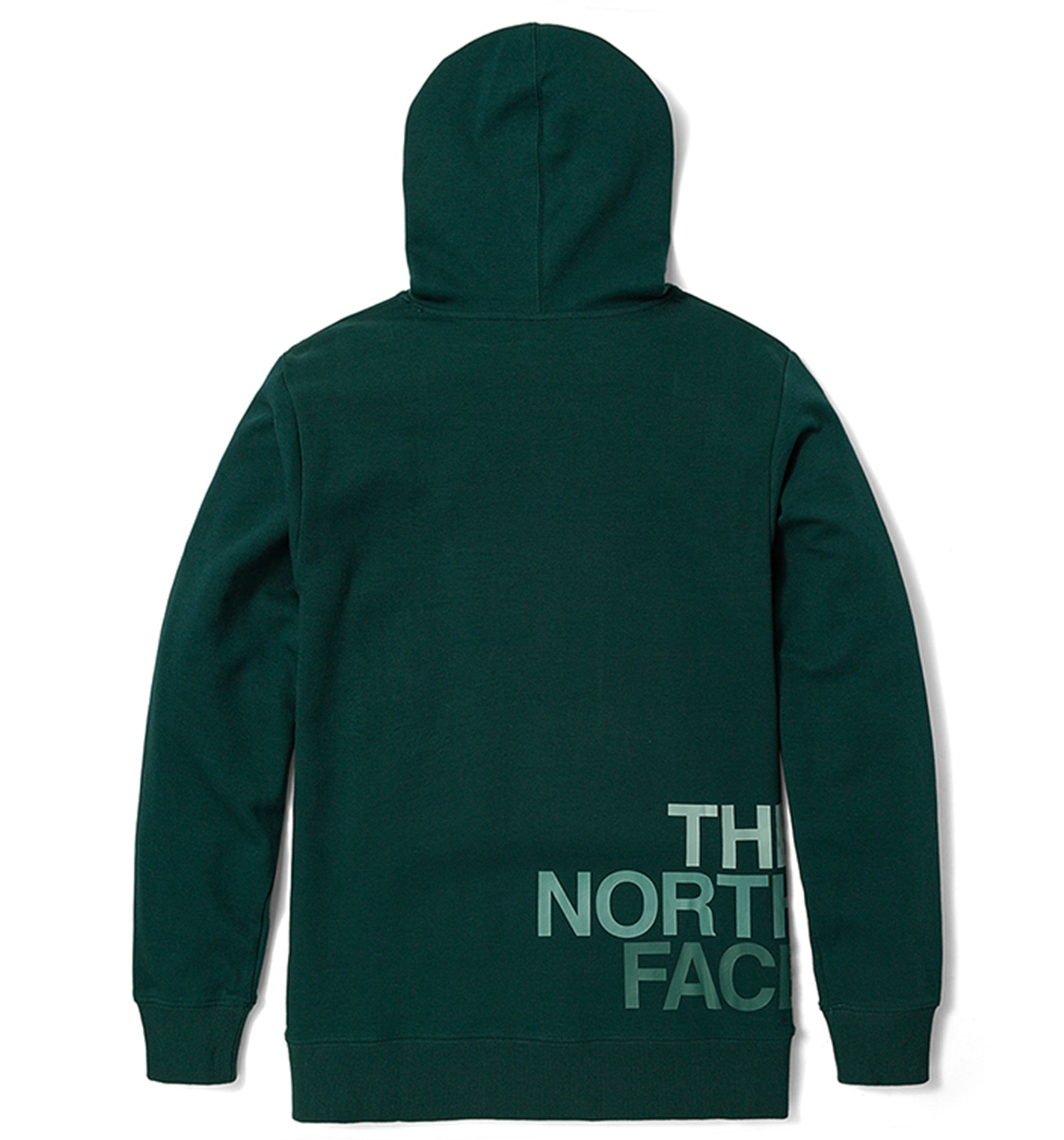 THE NORTH FACEBRND LG HD