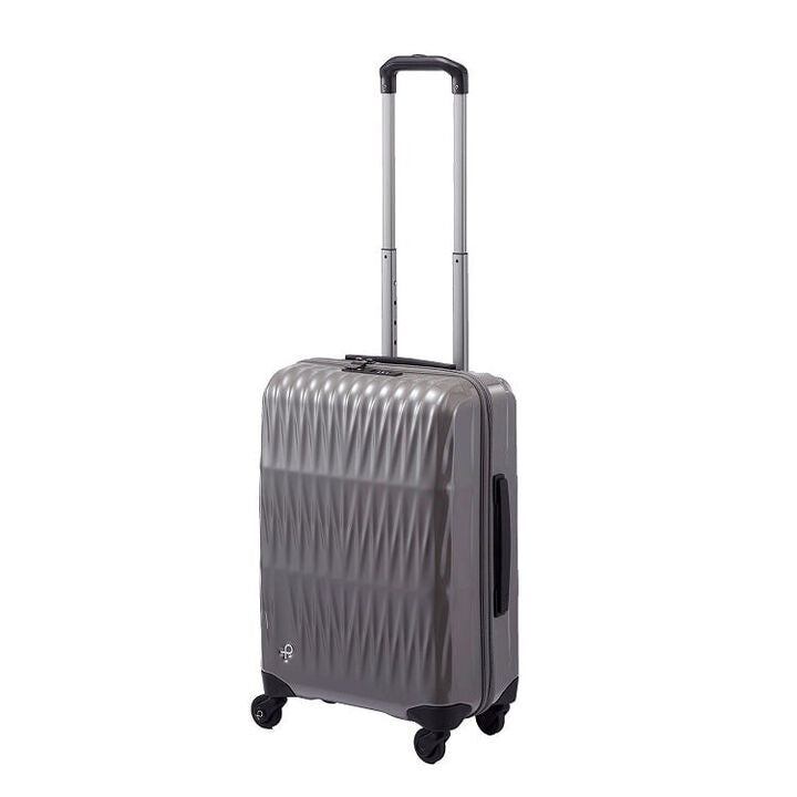 Triaxis Titanium Silver Small Luggage