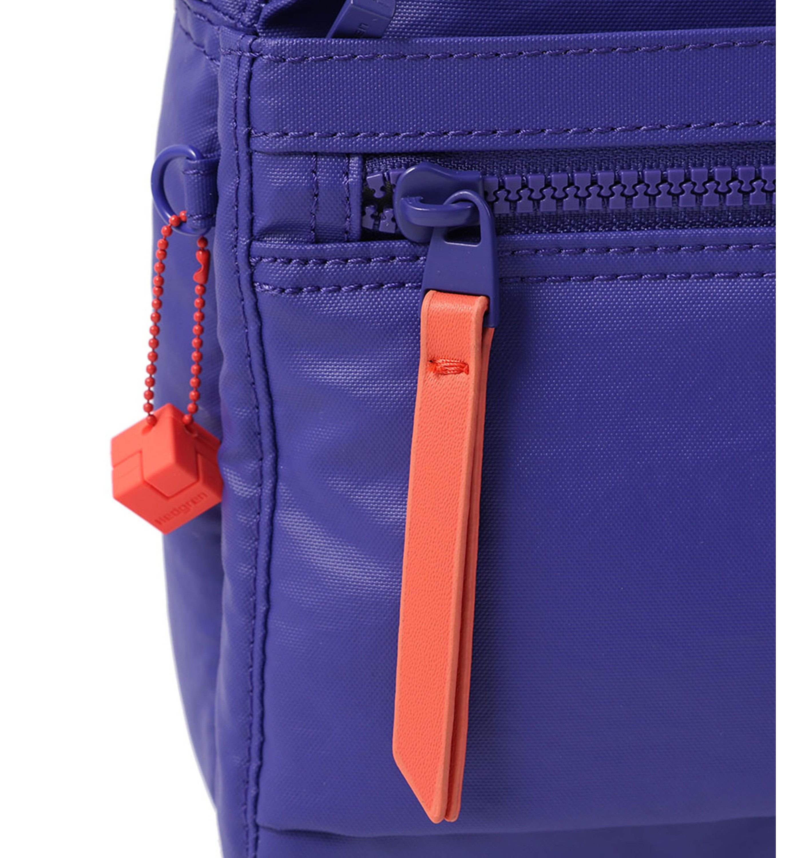 HEDGRENEye Sling Bag