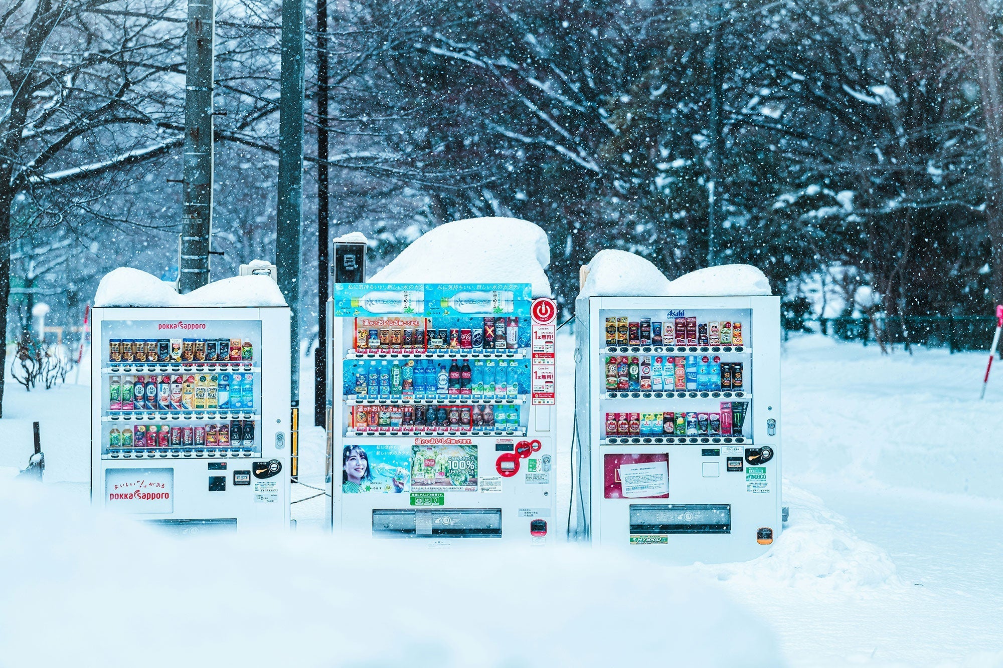 8 International Festivals You Should Add to Your Bucket List