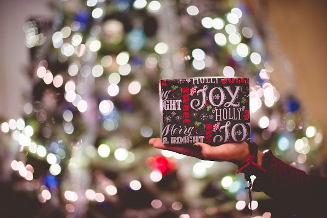 Holiday Gift Guide 2024: Gift Ideas For Your Loved Ones Who Love To Travel