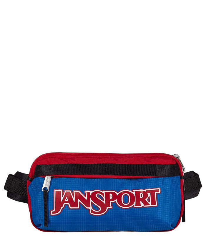 【完売色/美品】JANSPORT / Washington Waistpack Washington Waistpack – JanSport US