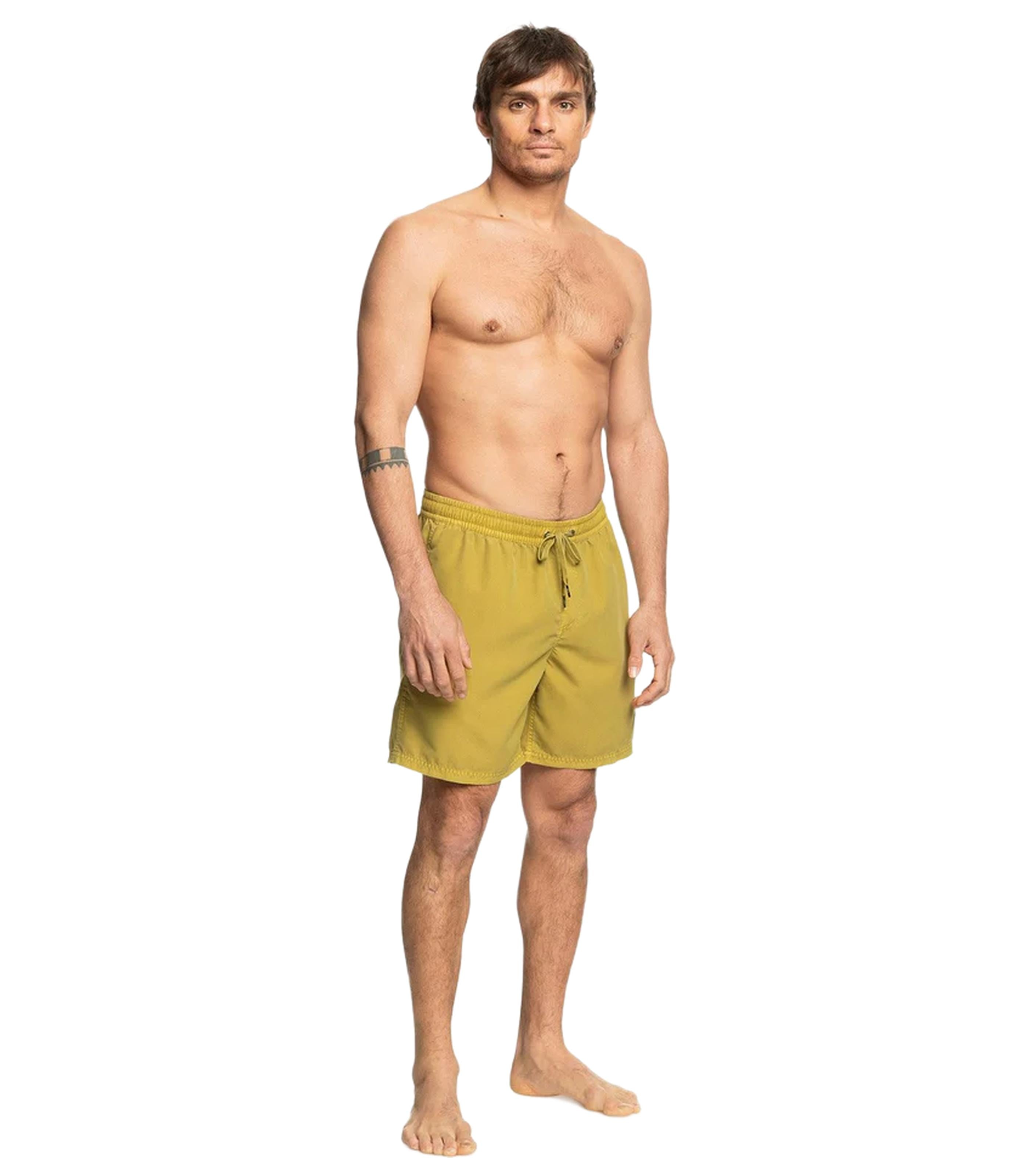 QUIKSILVEREveryday Surfwash Volley 17nb Shorts
