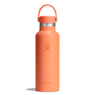 HYDRO FLASKStandard Flex Cap Water Bottle