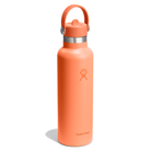 HYDRO FLASKStandard Flex Straw Cap Water Bottle