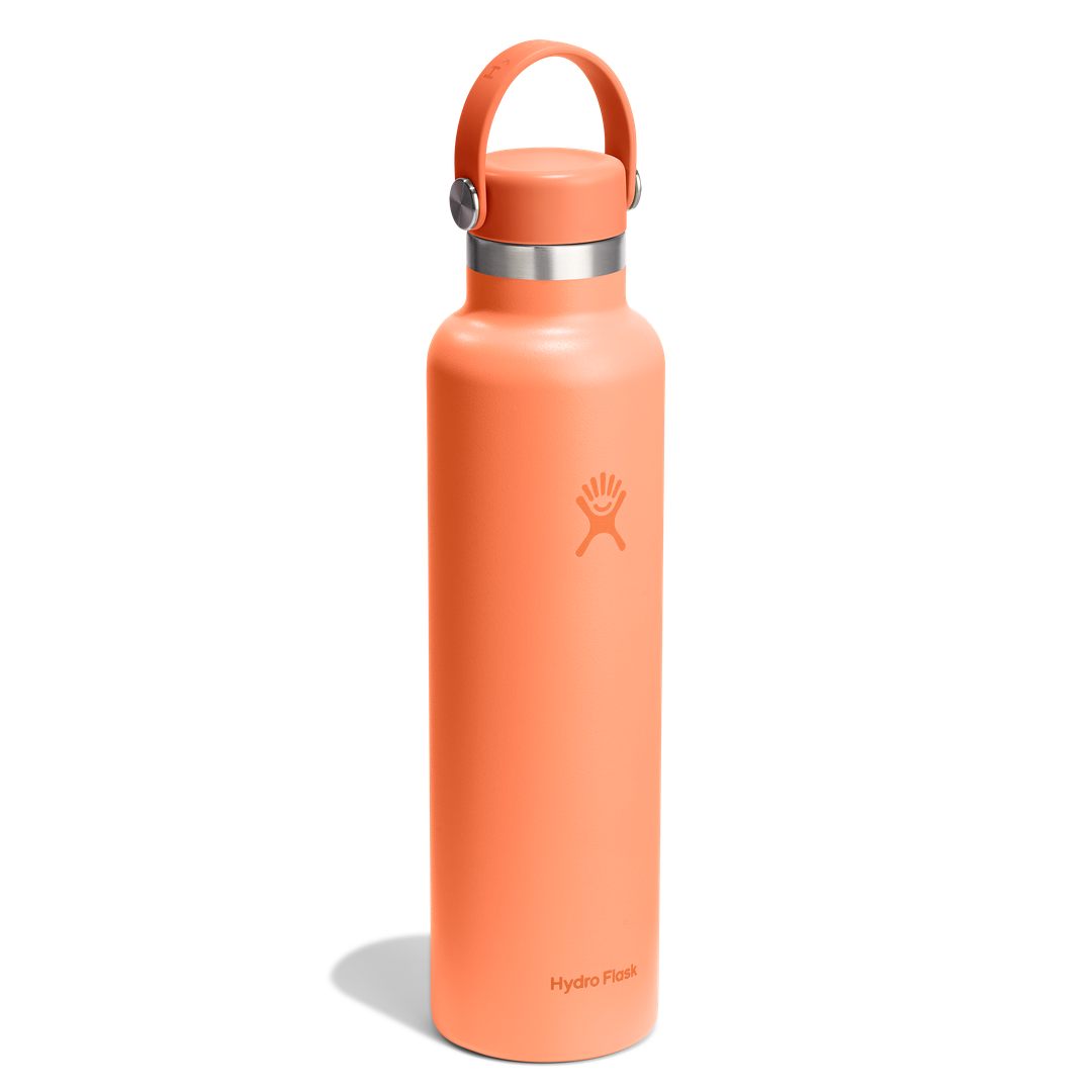 HYDRO FLASKStandard Flex Cap Water Bottle