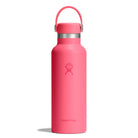 HYDRO FLASKStandard Flex Cap Water Bottle
