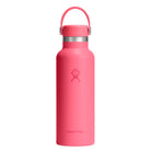 HYDRO FLASKStandard Flex Cap Water Bottle
