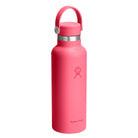 HYDRO FLASKStandard Flex Cap Water Bottle