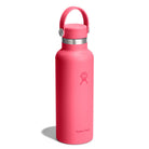HYDRO FLASKStandard Flex Cap Water Bottle