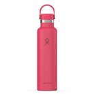 HYDRO FLASKStandard Flex Cap Water Bottle