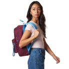 JANSPORTJANSPORT SUPERBREAK PLUS CHARM CHERRY LACQUER 26L