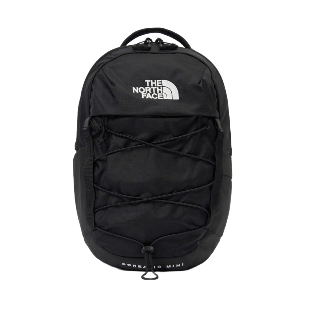 The North FaceBorealis Mini Backpack