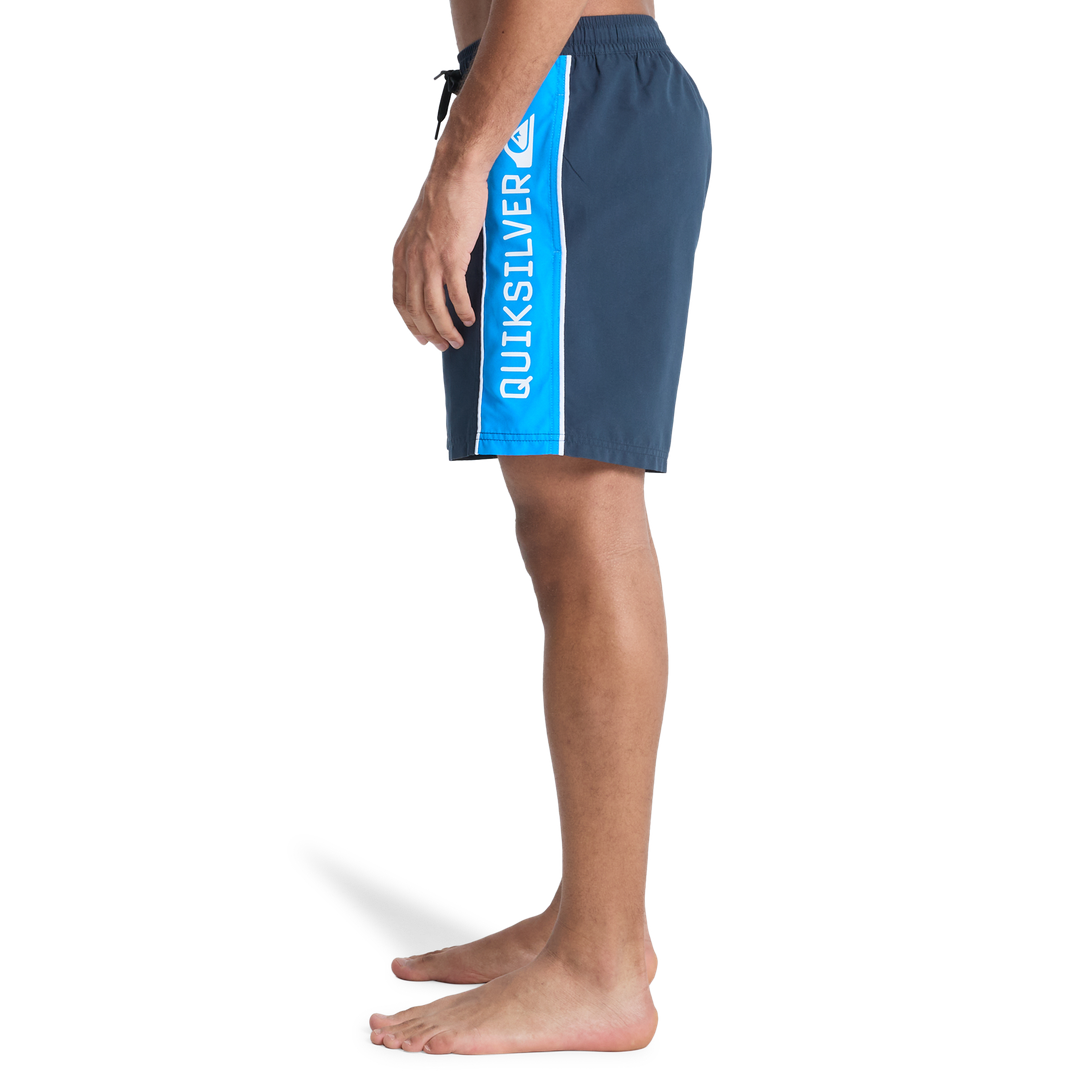 QUIKSILVEREvryday Clckr Volley 17nb Boardshorts/ Swim Shorts