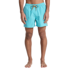 QUIKSILVEREvrydy Solid Volley 15 Id Boardshorts/ Swim Shorts