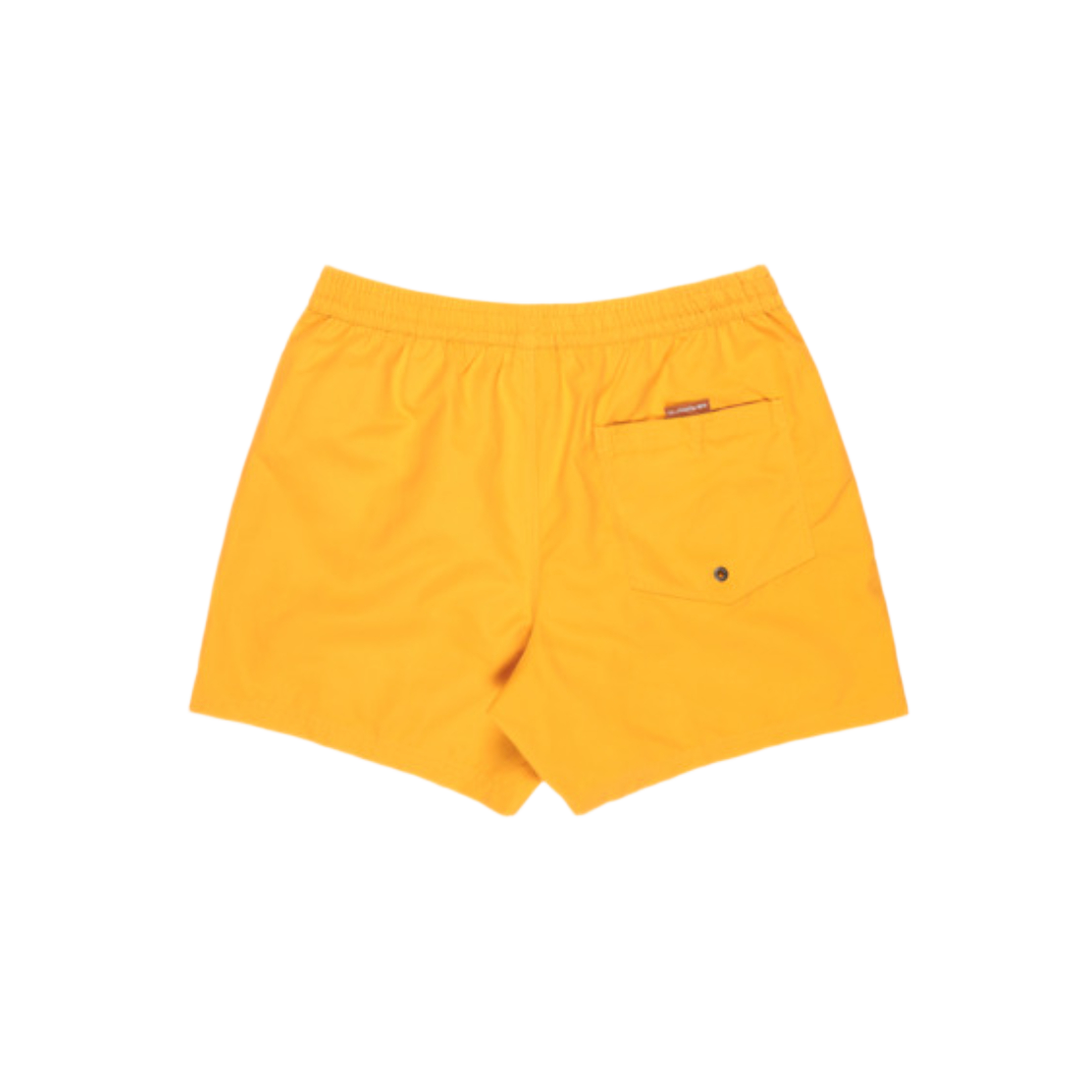 QUIKSILVEREvrydy Solid Volley 15 Id Boardshorts/ Swim Shorts