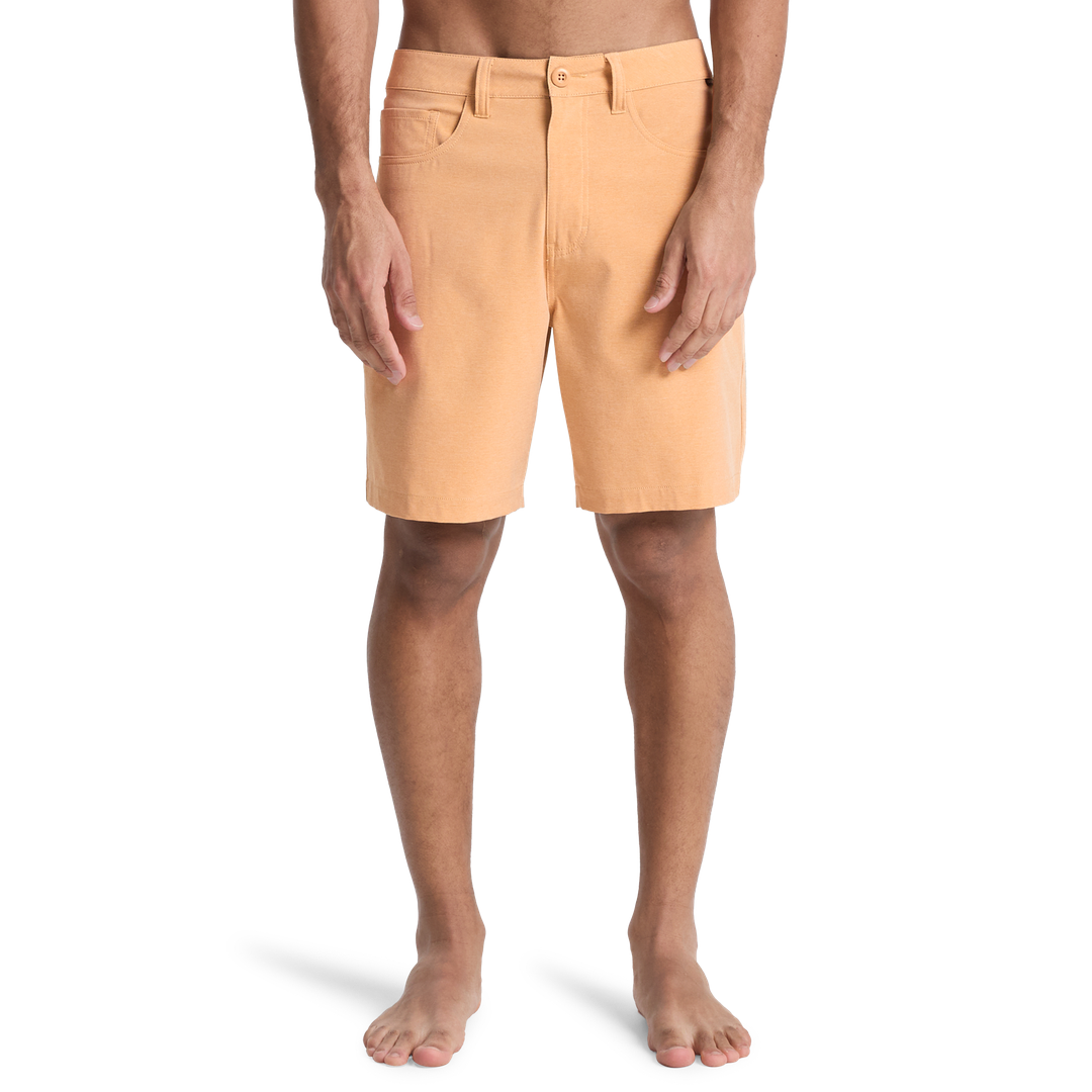 QUIKSILVERNelson Amphibian 18 Boardshorts/ Swim Shorts